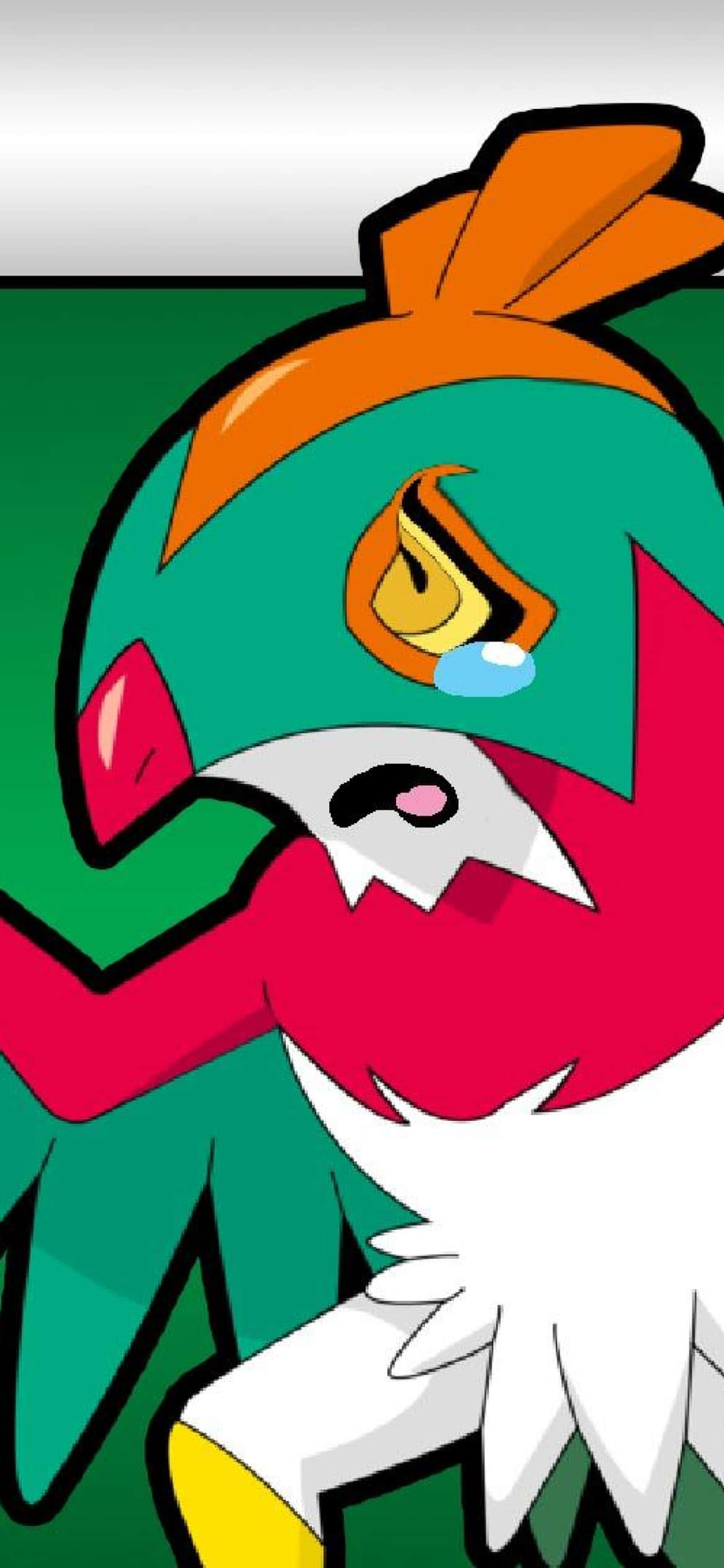 Hawlucha โทรศัพท์ร้องไห้ วอลเปเปอร์