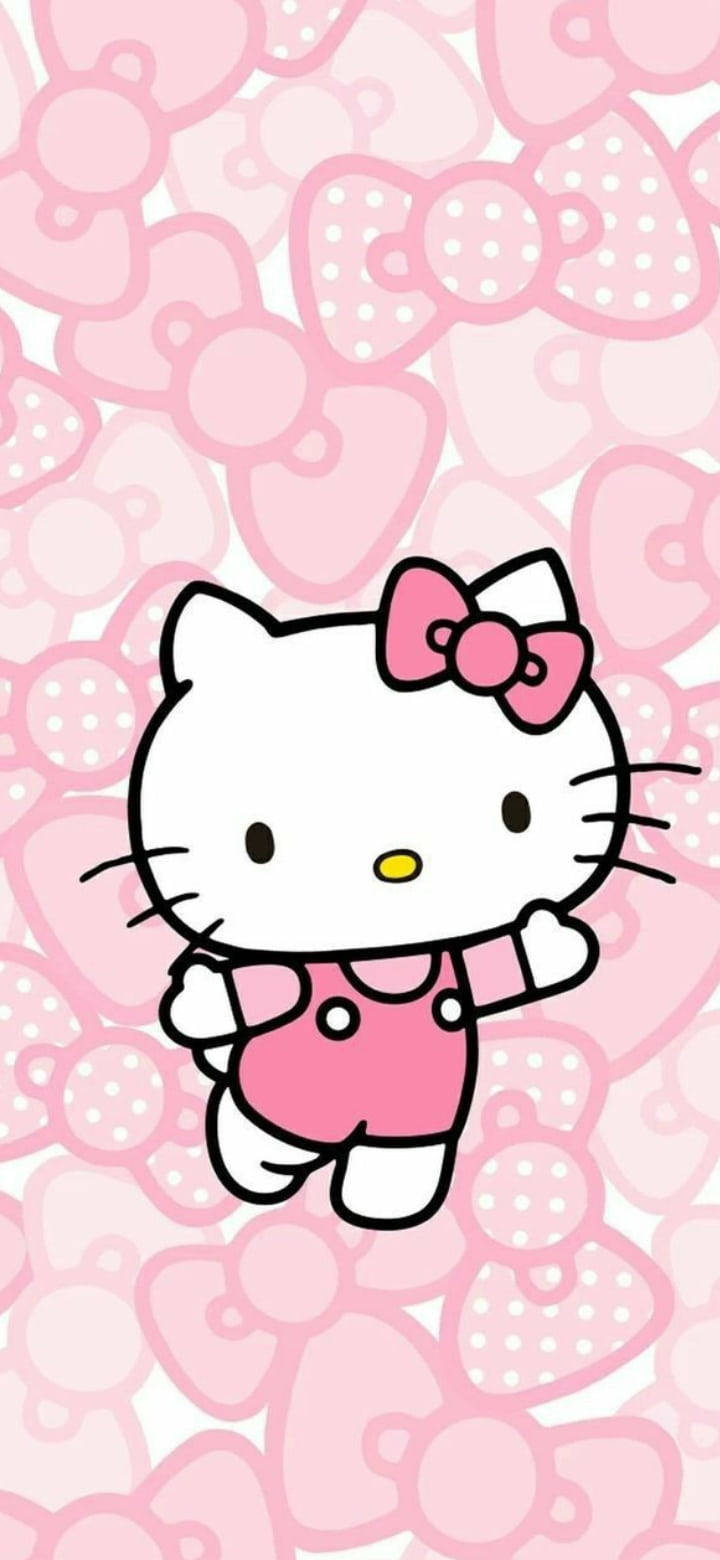 Hello Kitty สีชมพูกับโบว์หลากแบบ วอลเปเปอร์