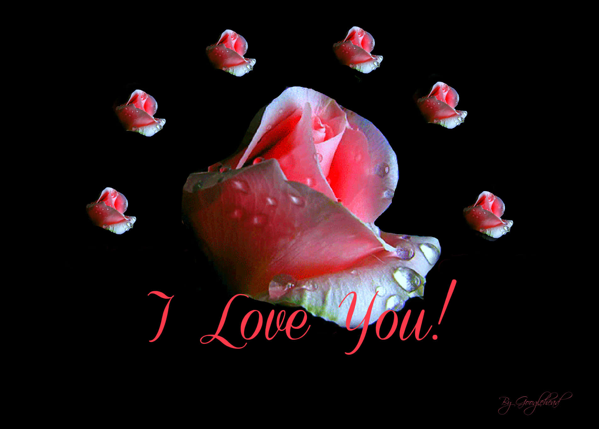 ภาพดอกไม้สีชมพู I Love You วอลเปเปอร์