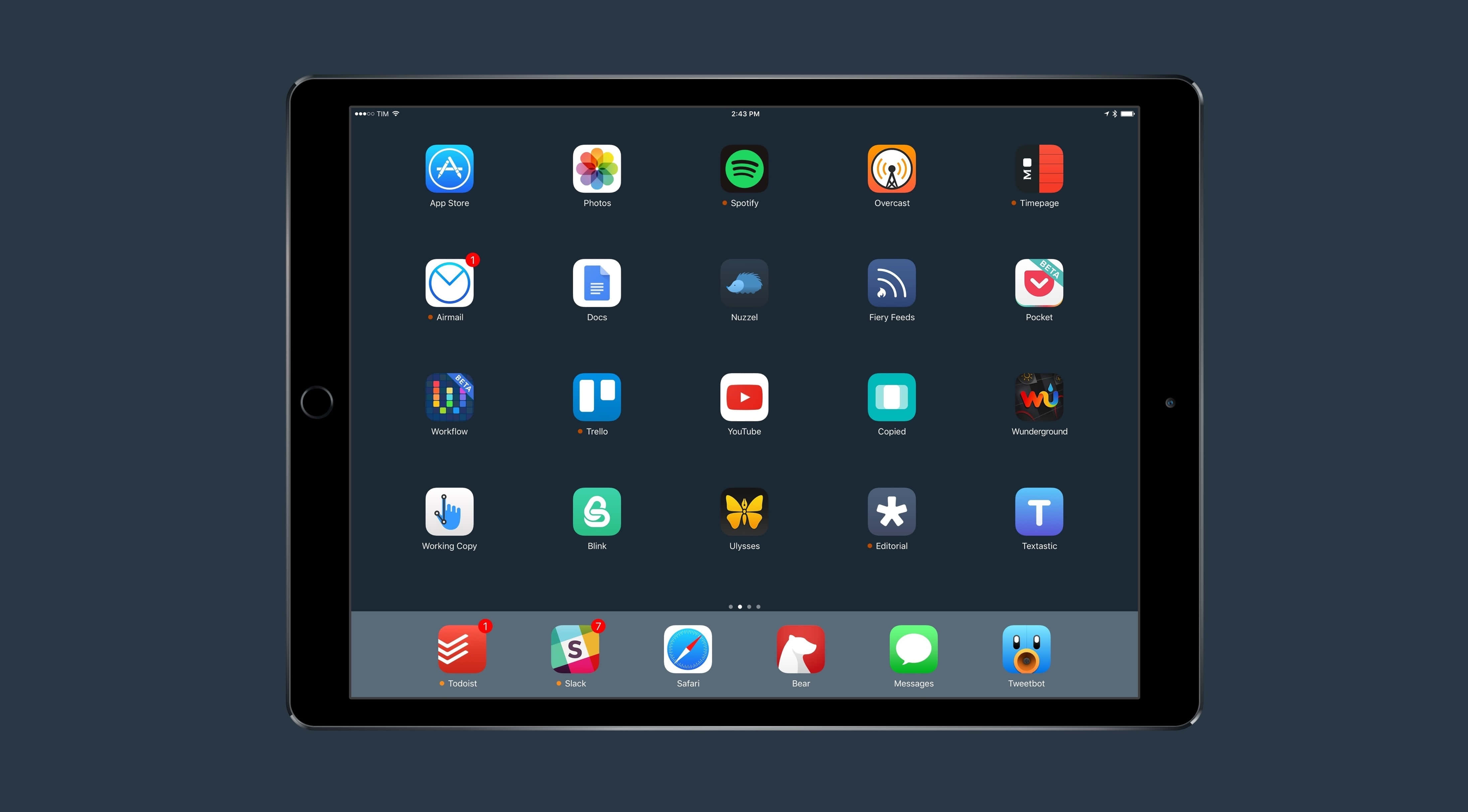 เพลิดเพลินกับชีวิตด้วย iPad วอลเปเปอร์