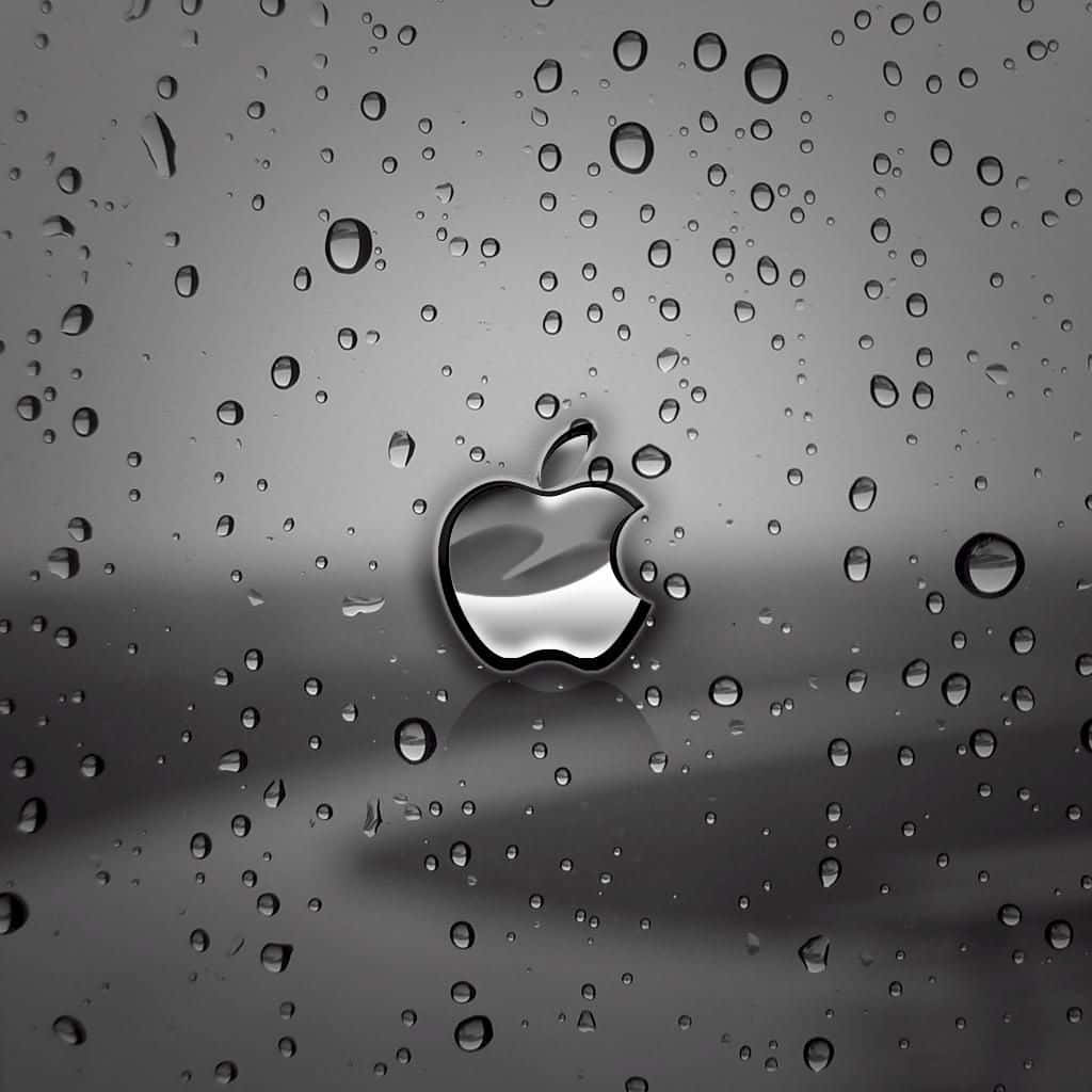 โลโก้แอเปิ้ลน่ารักสีเข้มบน iPad วอลเปเปอร์
