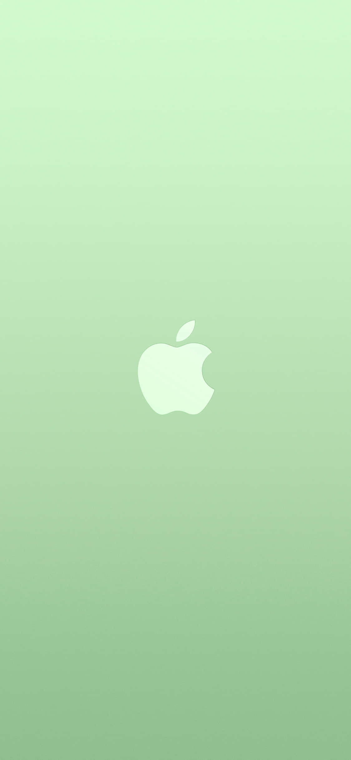 iPhone 11 โลโก้ Apple พื้นหลังสีเขียว วอลเปเปอร์