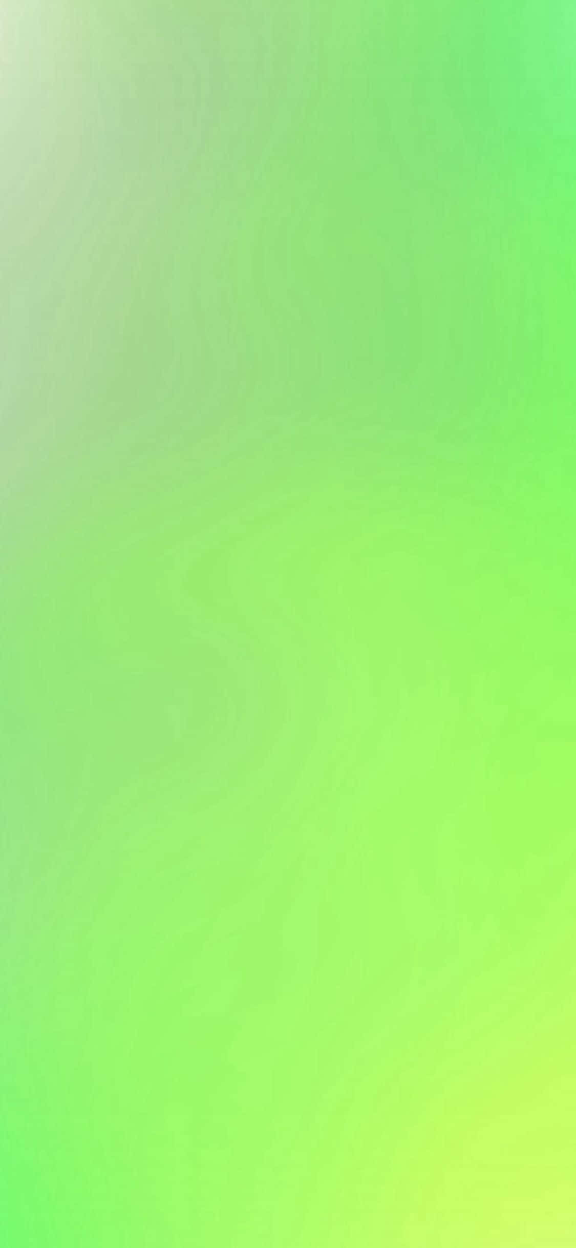 iPhone 11 สีเขียวสดชื่น วอลเปเปอร์