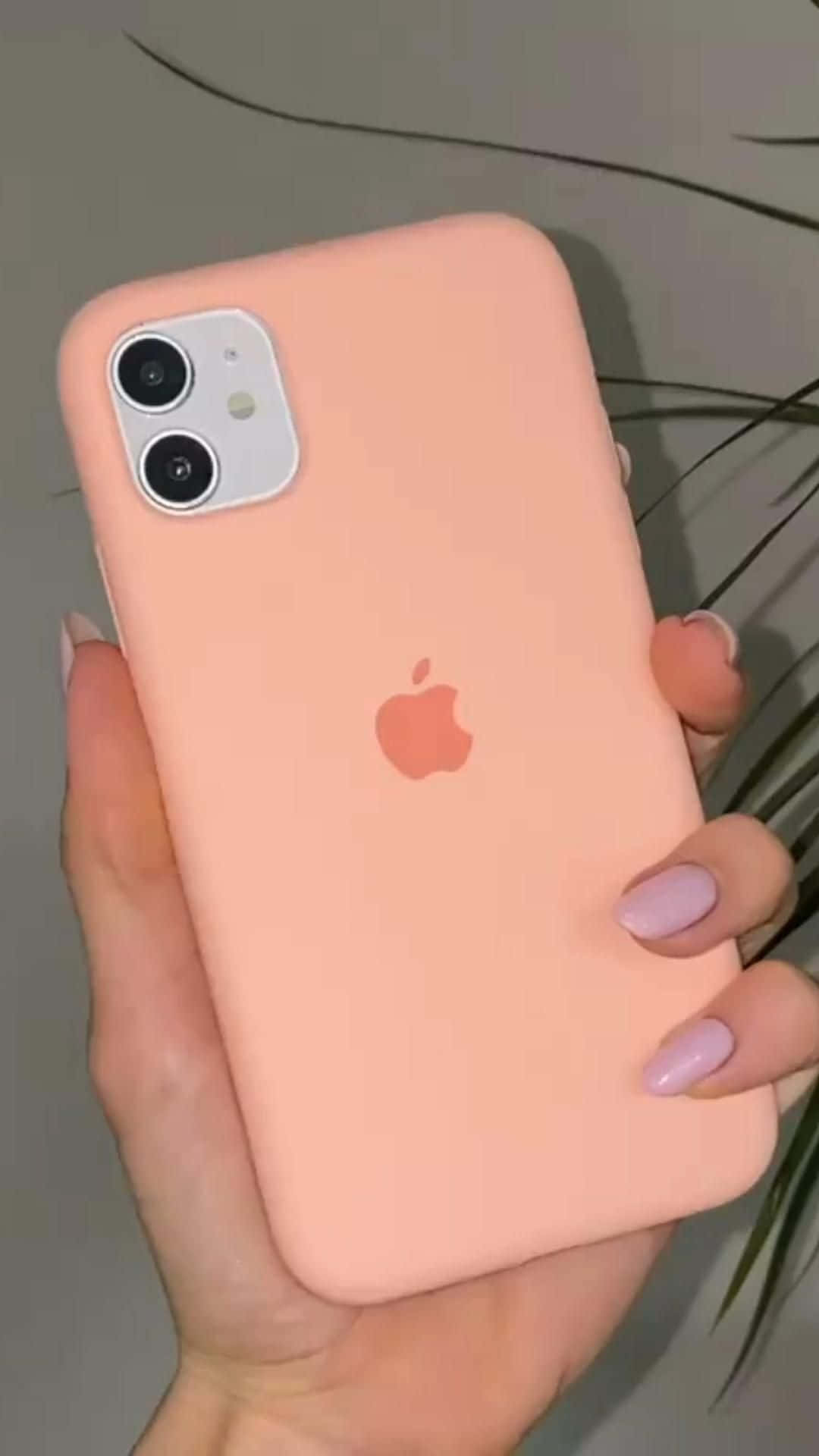 รูปภาพ iPhone 12 วอลเปเปอร์