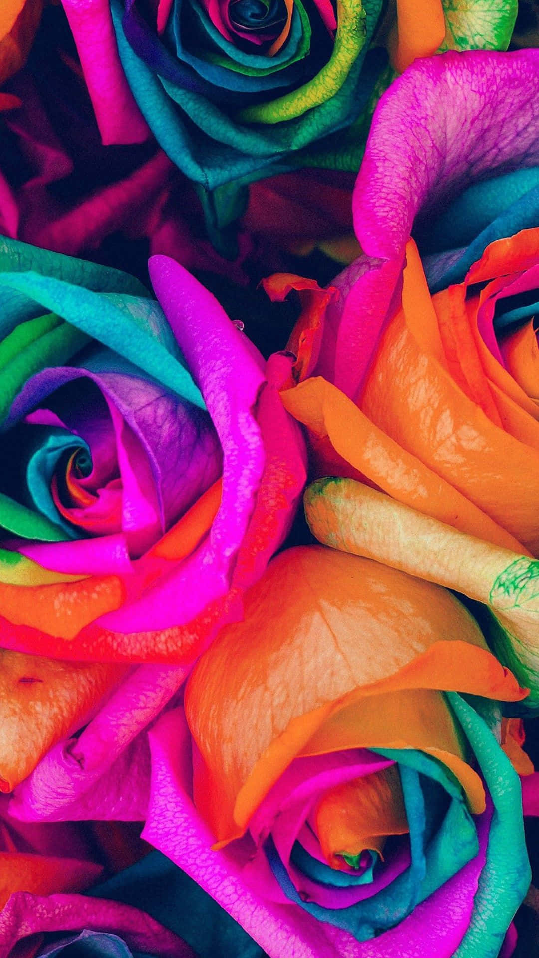 วอลเปเปอร์ดอกไม้สีรุ้งสุดสะดุดตาสำหรับ iPhone วอลเปเปอร์