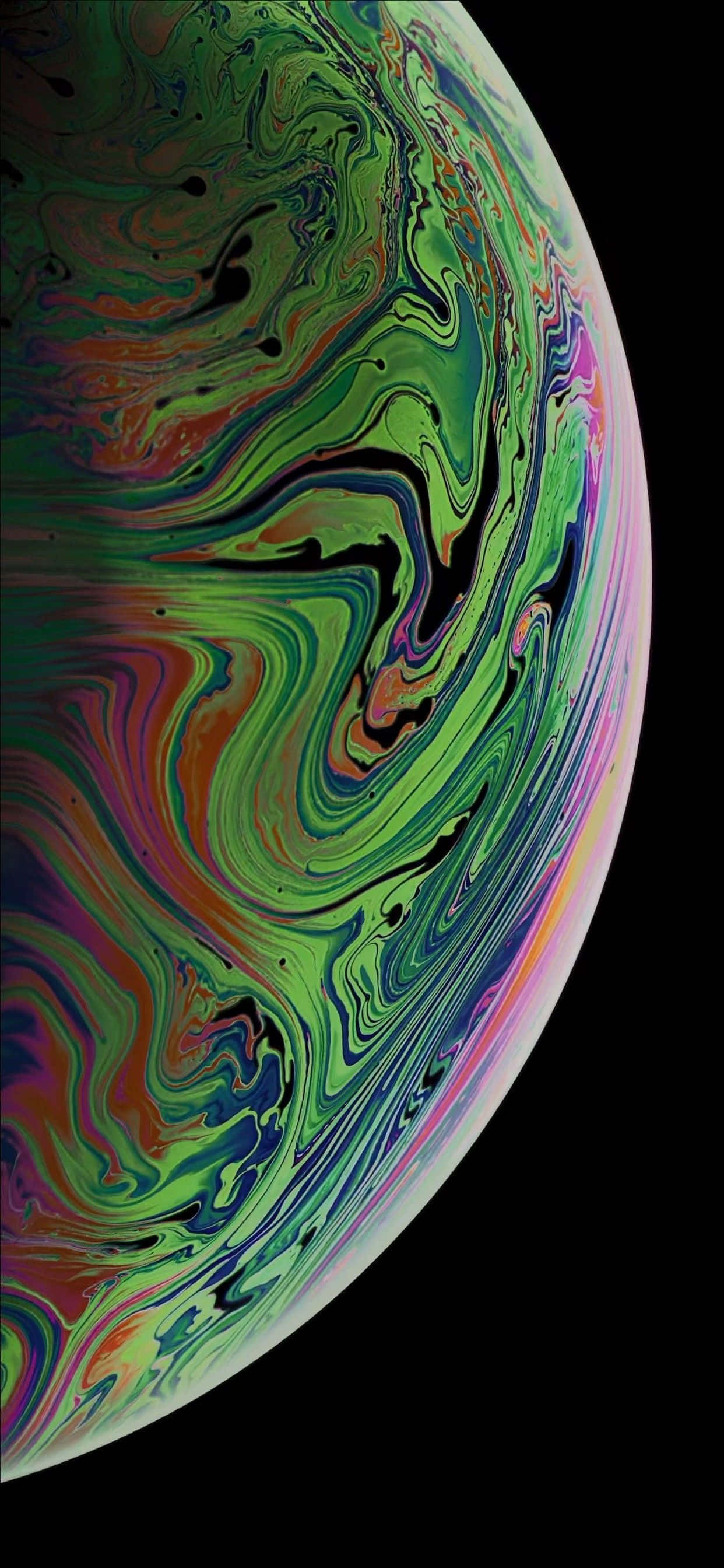 วอลเปเปอร์ iPhone น้องโคอาล่าน่ารัก วอลเปเปอร์