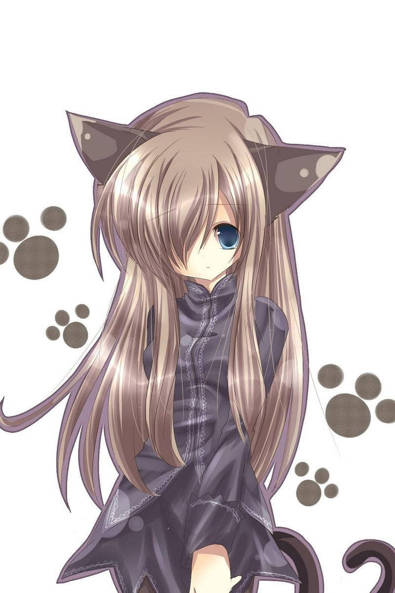สาวอนิเมะน่ารักแมวสีน้ำตาล iPhone วอลเปเปอร์