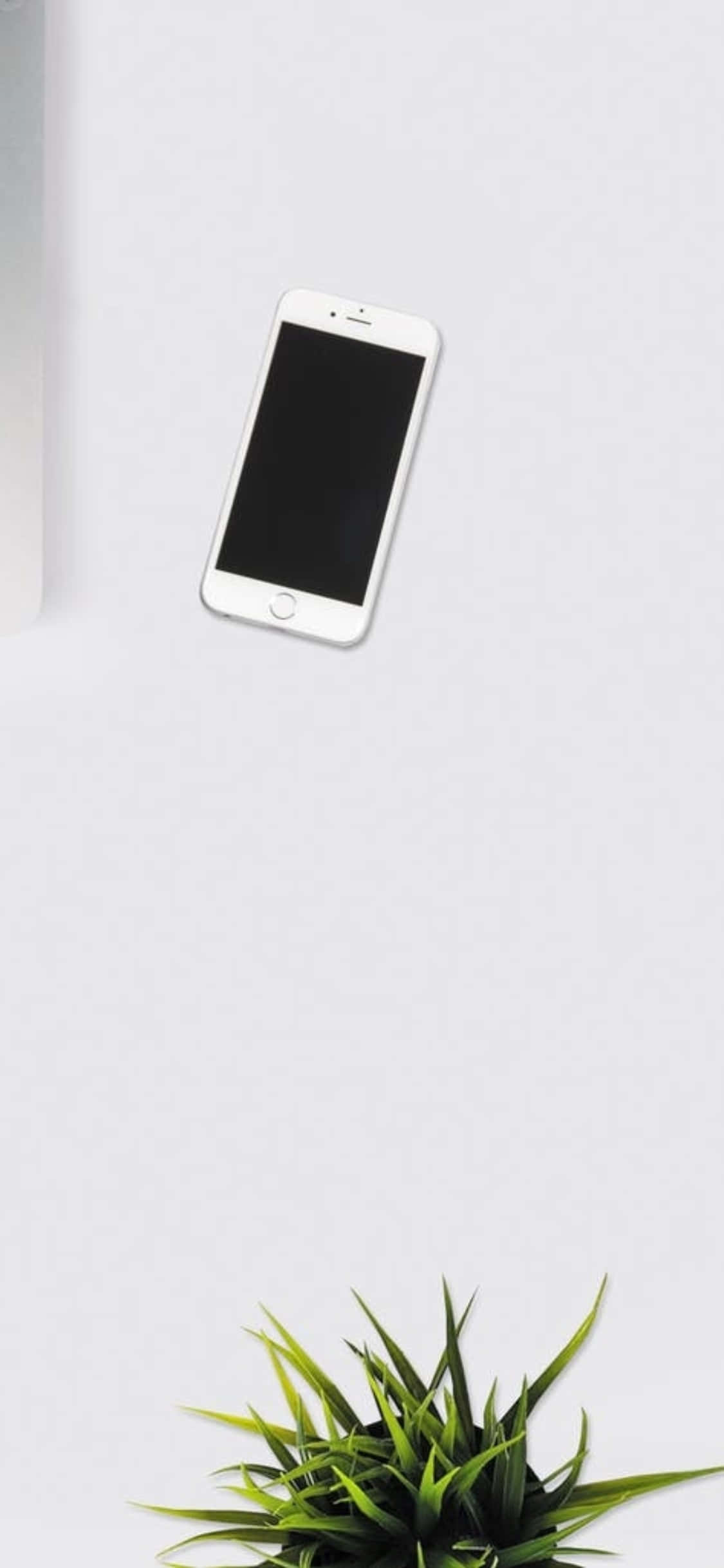 พื้นหลังโต๊ะ iPhone X โทรศัพท์สีขาวกับต้นไม้ในร่ม วอลเปเปอร์