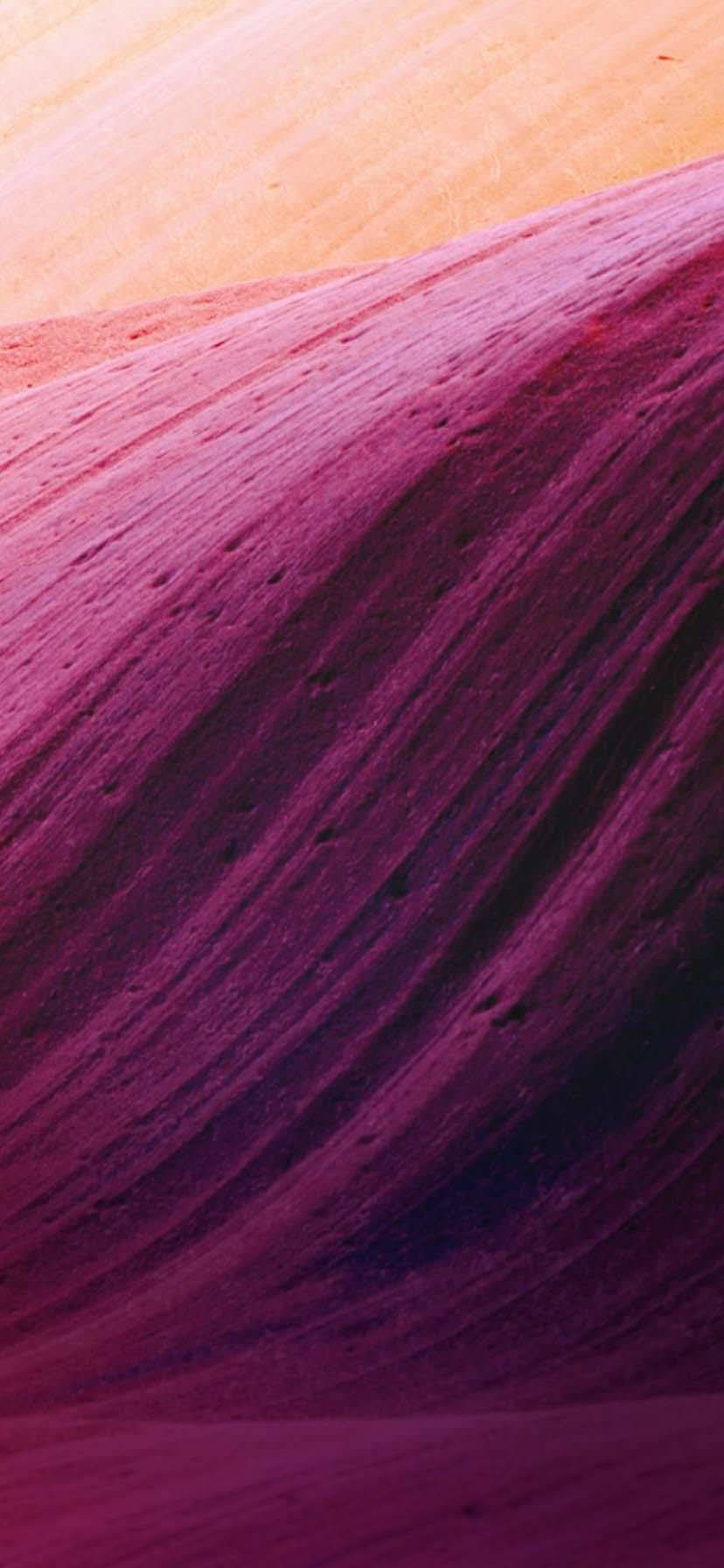 iPhone XR เส้นโค้งสีเบจม่วง วอลเปเปอร์
