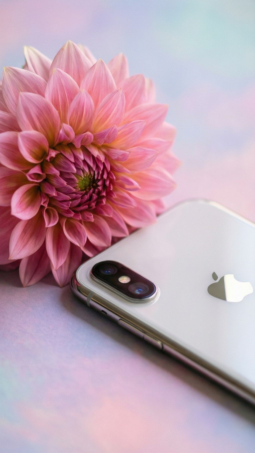 ความสง่างามของดอกไม้ iPhone XR วอลเปเปอร์