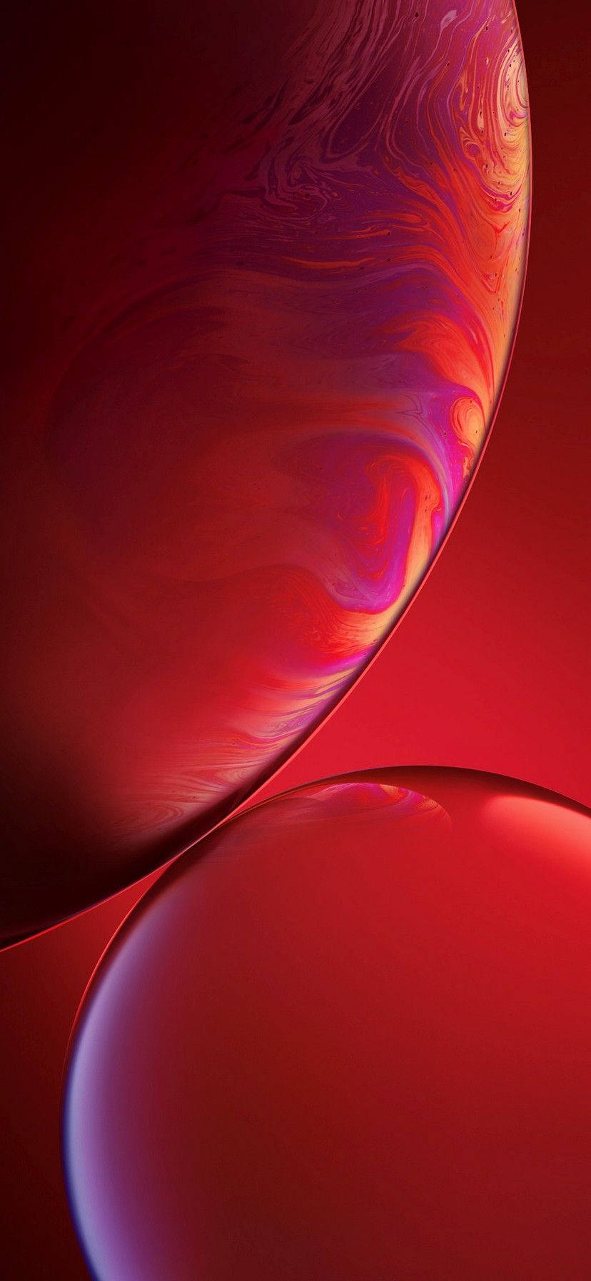 "สีสันสดใสของ iPhone XR สร้างพื้นหลังที่สมบูรณ์แบบสำหรับวอลเปเปอร์ใดๆ" วอลเปเปอร์