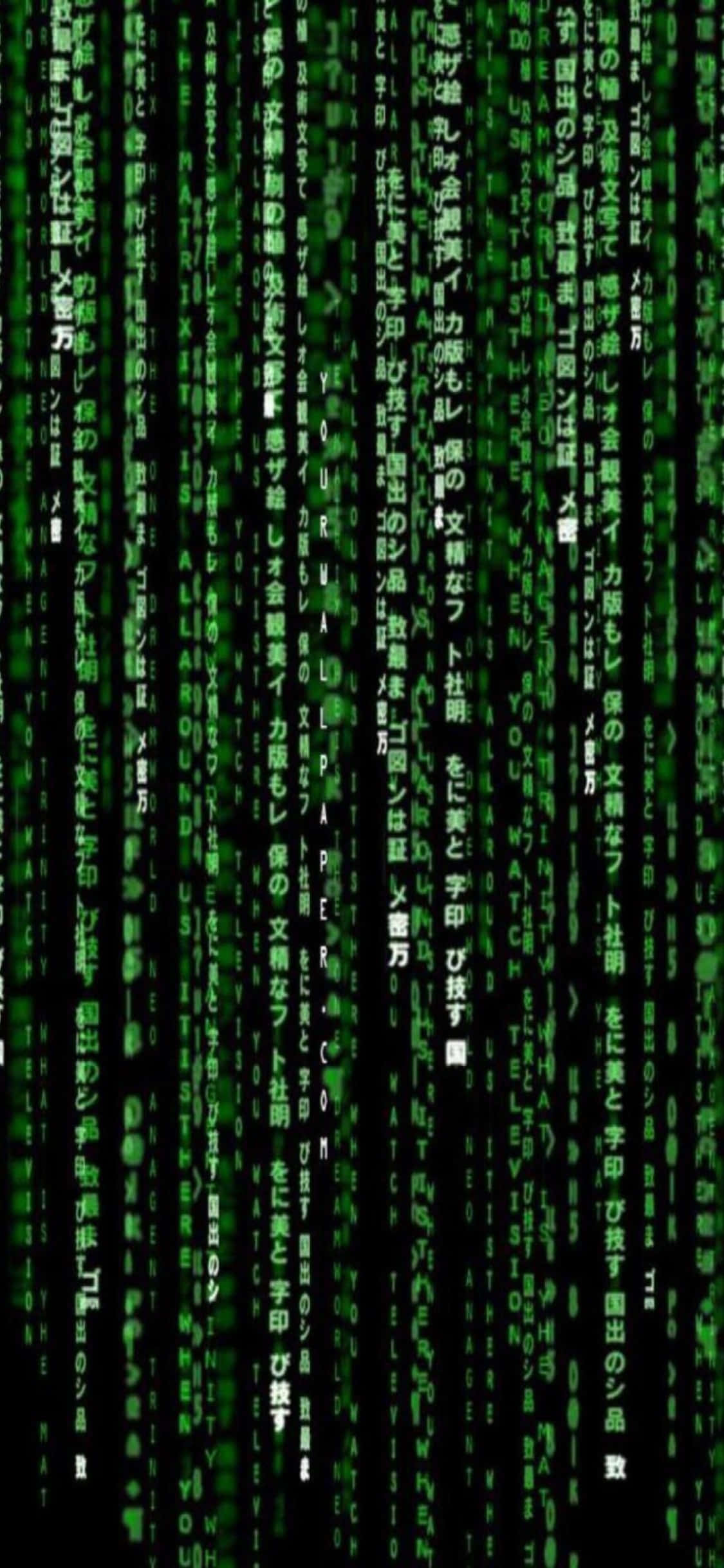 พื้นหลังการเขียนโปรแกรม iPhone Xs แนวตั้งแบบ Matrix วอลเปเปอร์