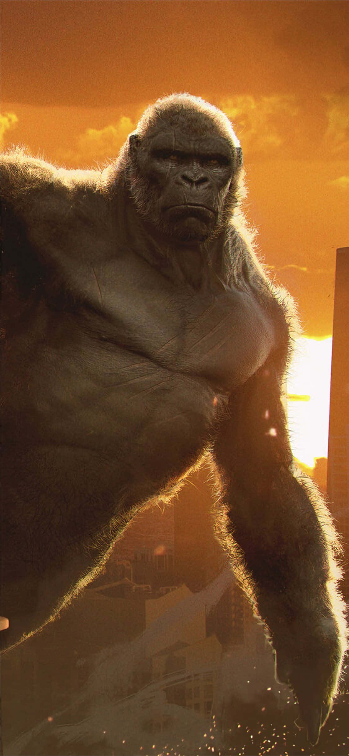พื้นหลังลิง Gorilla iPhone Xs Max จากหนัง King Kong วอลเปเปอร์