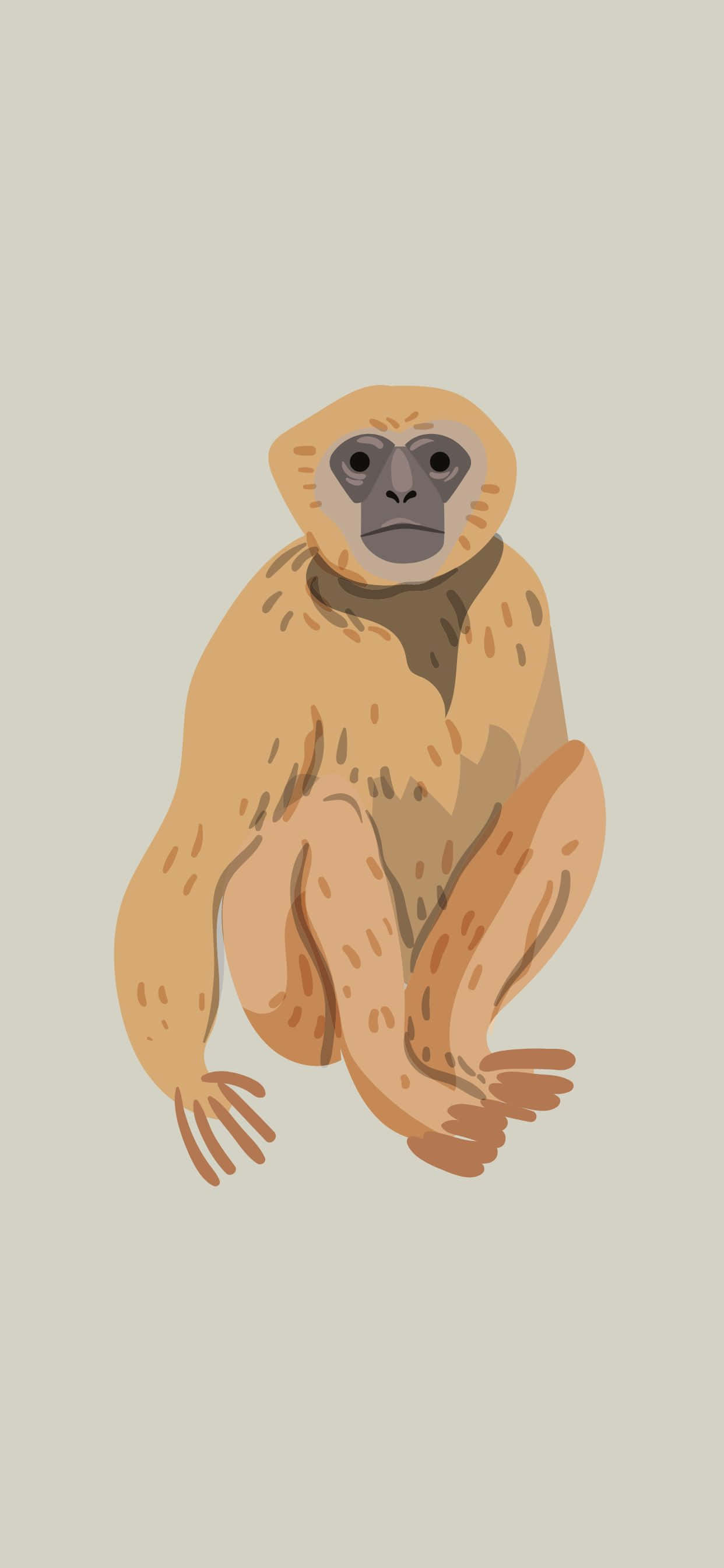 iPhone Xs Max Gibbon พร้อมไปทุกที่! วอลเปเปอร์