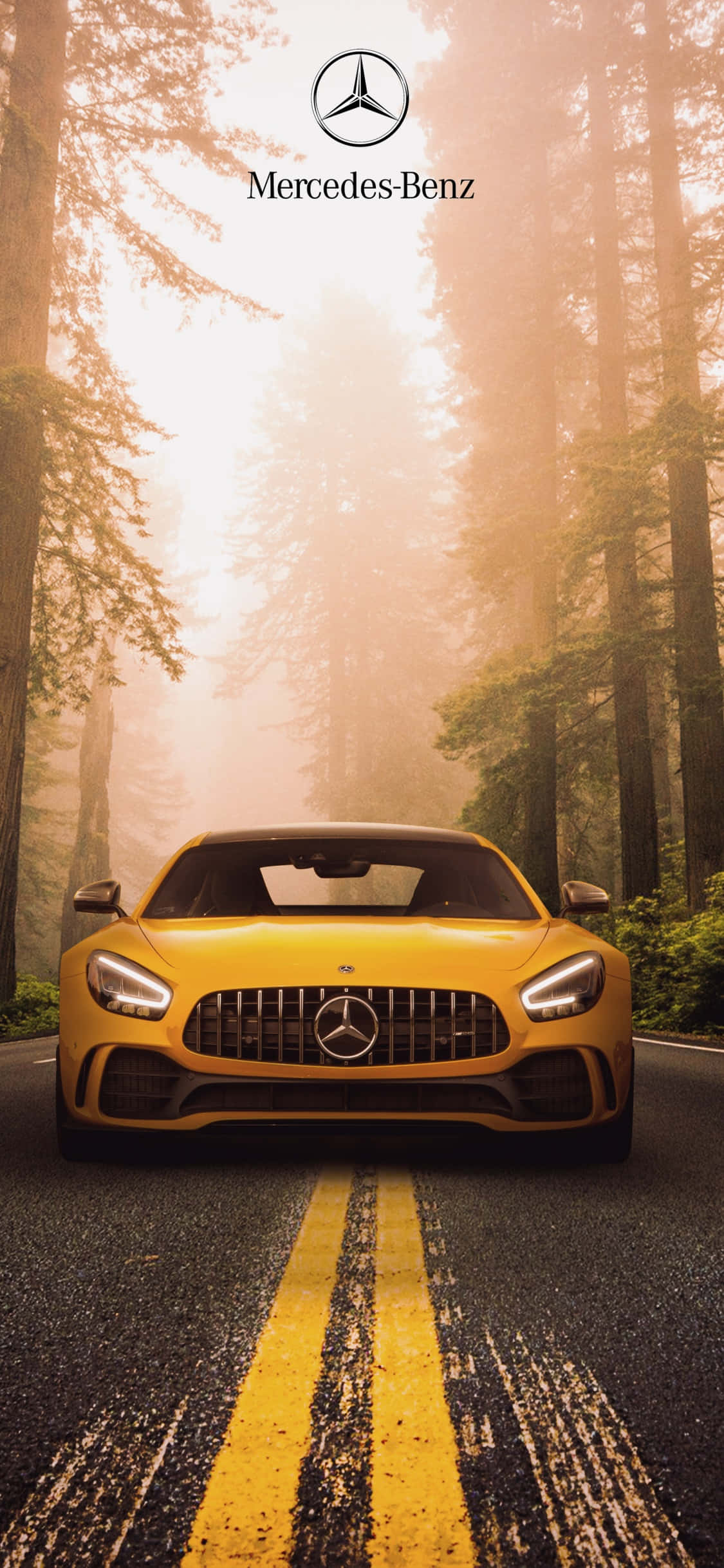 พื้นหลัง iPhone Xs Mercedes Amg สีเหลืองในป่า วอลเปเปอร์