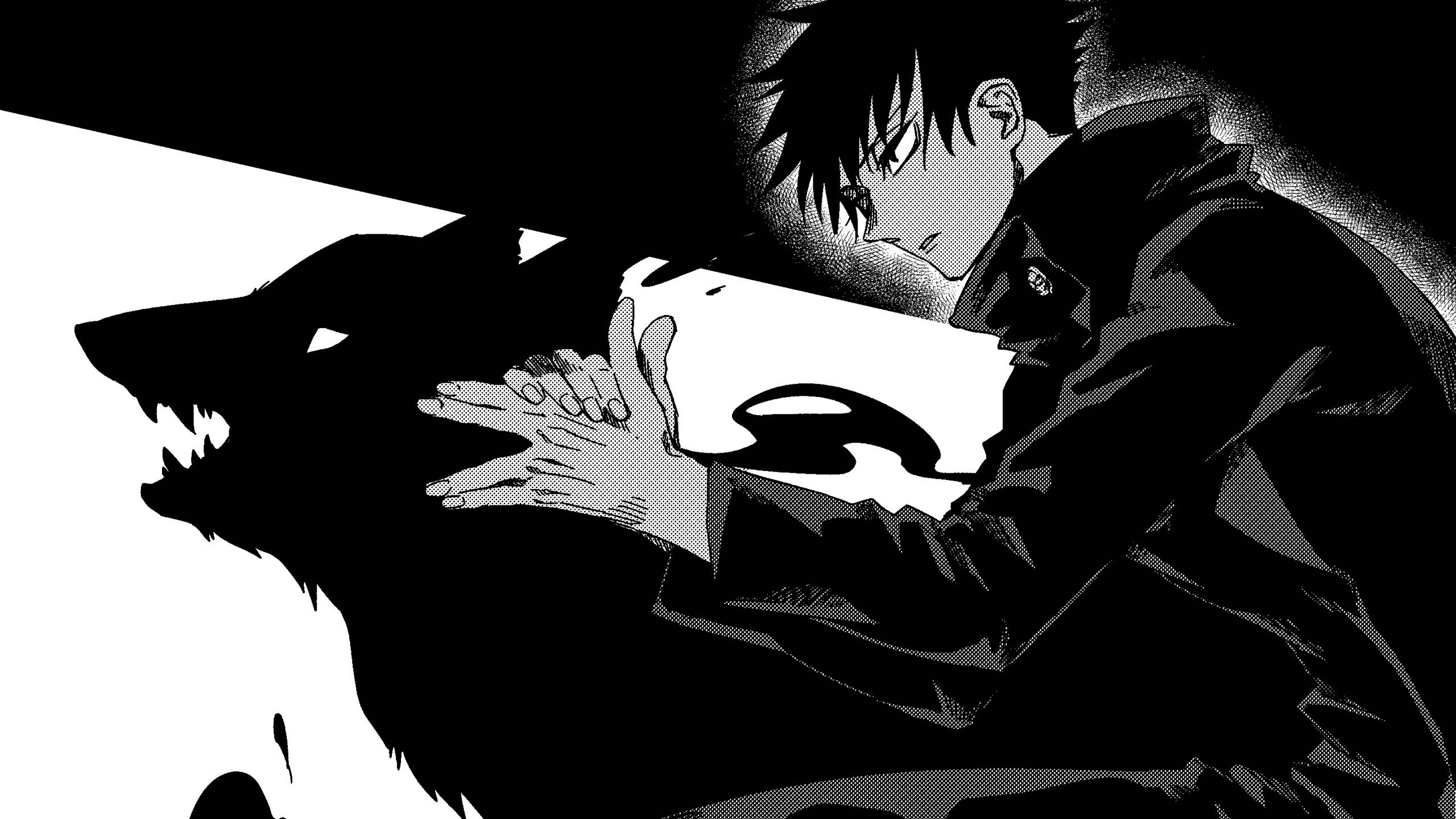 หมาศักดิ์สิทธิ์ของฟุชิคุโระใน Jujutsu Kaisen วอลเปเปอร์
