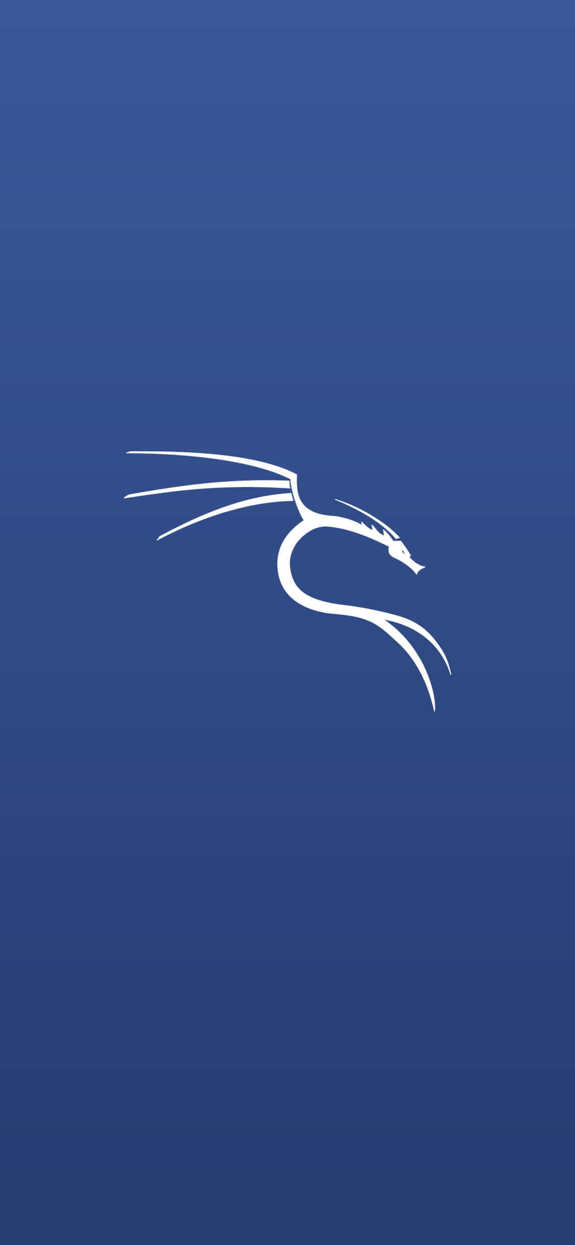 สภาพแวดล้อม Kali Linux แบบ Matrix วอลเปเปอร์