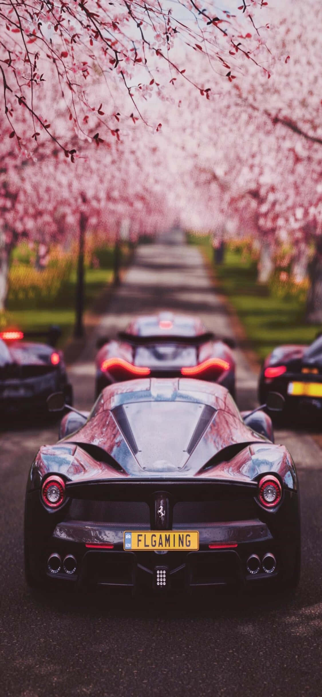 La Ferrari พื้นหลัง iPhone X Forza Motorsport 7 วอลเปเปอร์