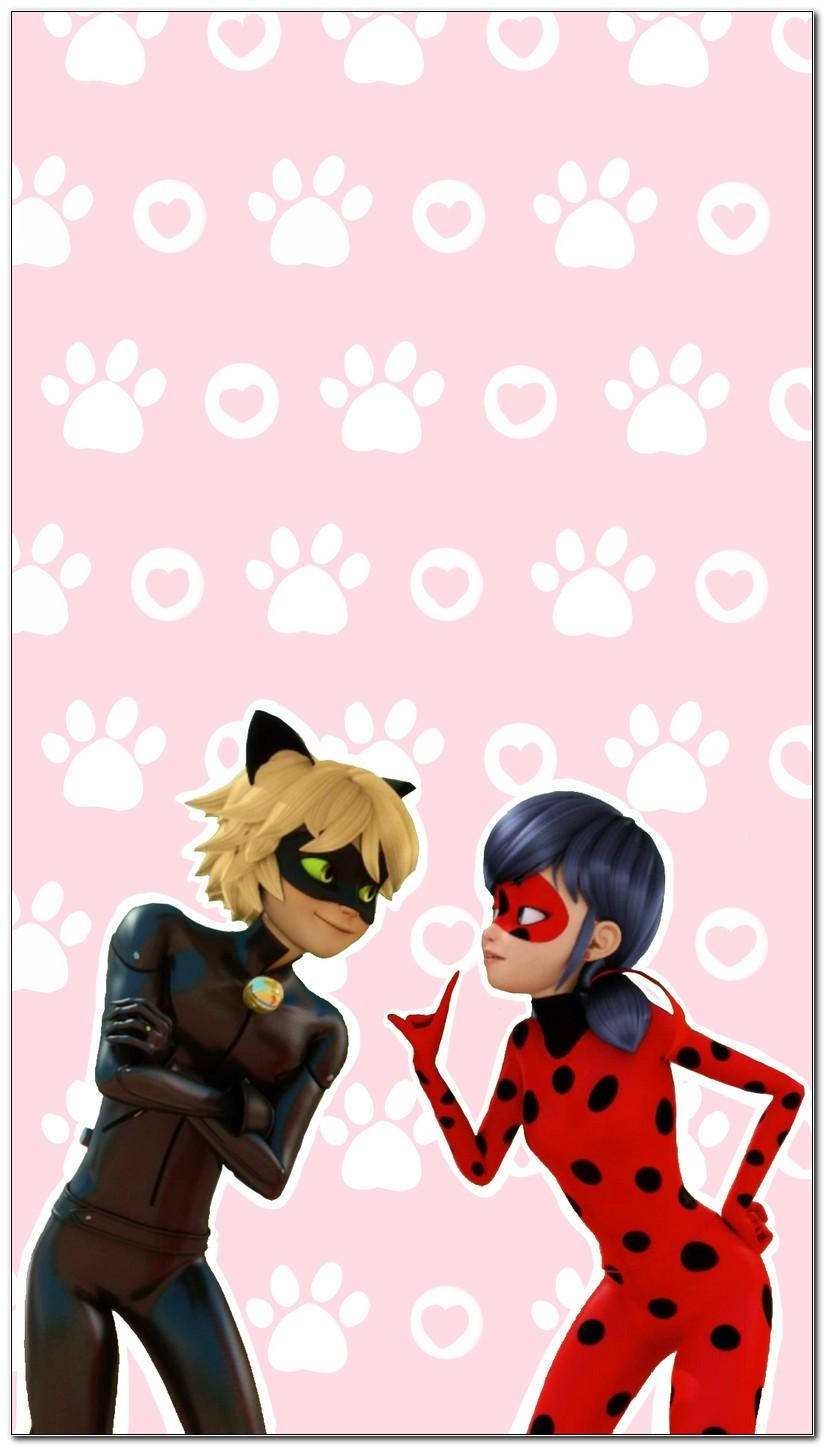 วอลเปเปอร์ลาย Ladybug สีชมพูและ Cat Noir สำหรับมือถือ วอลเปเปอร์