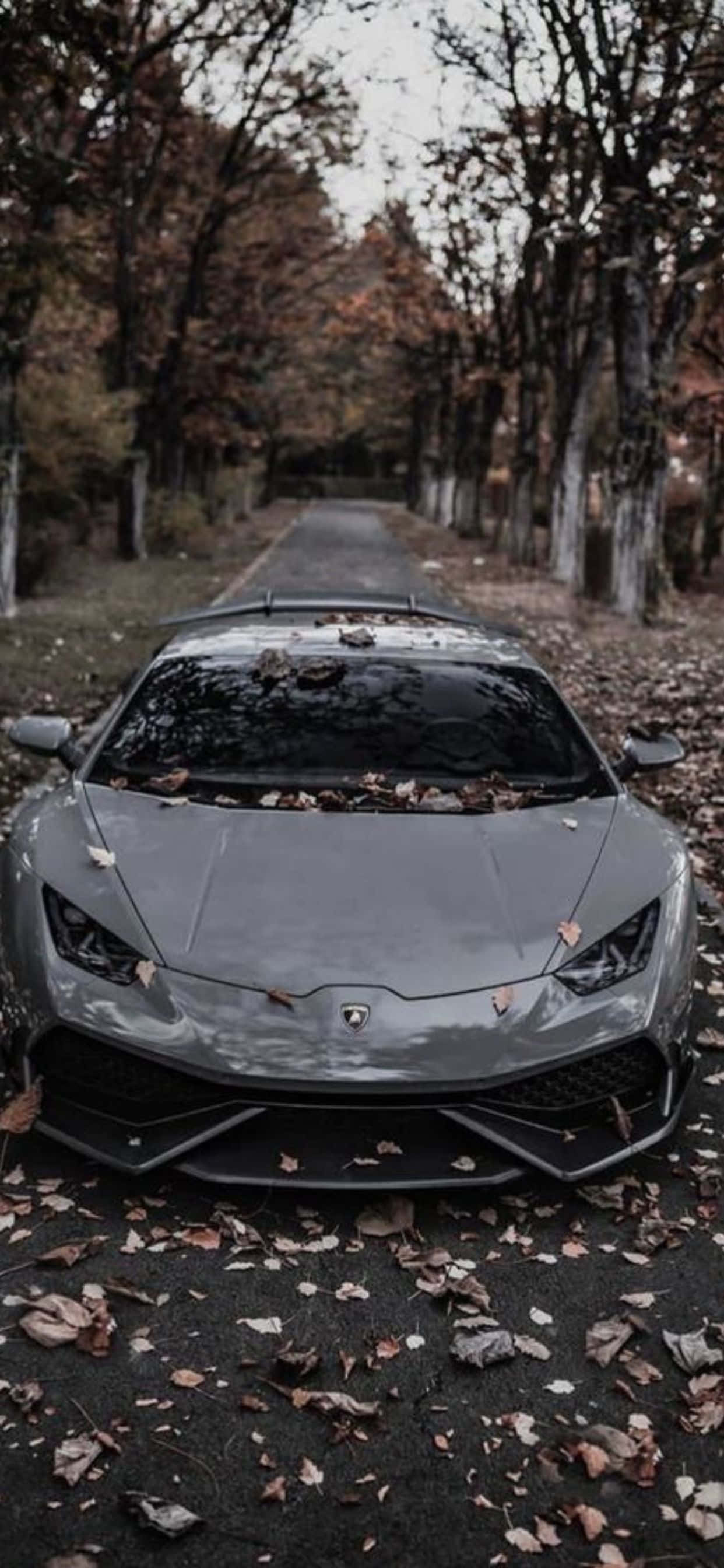 พื้นหลังรถสีเทา Lamborghini Huracan สำหรับ iPhone XS Max วอลเปเปอร์