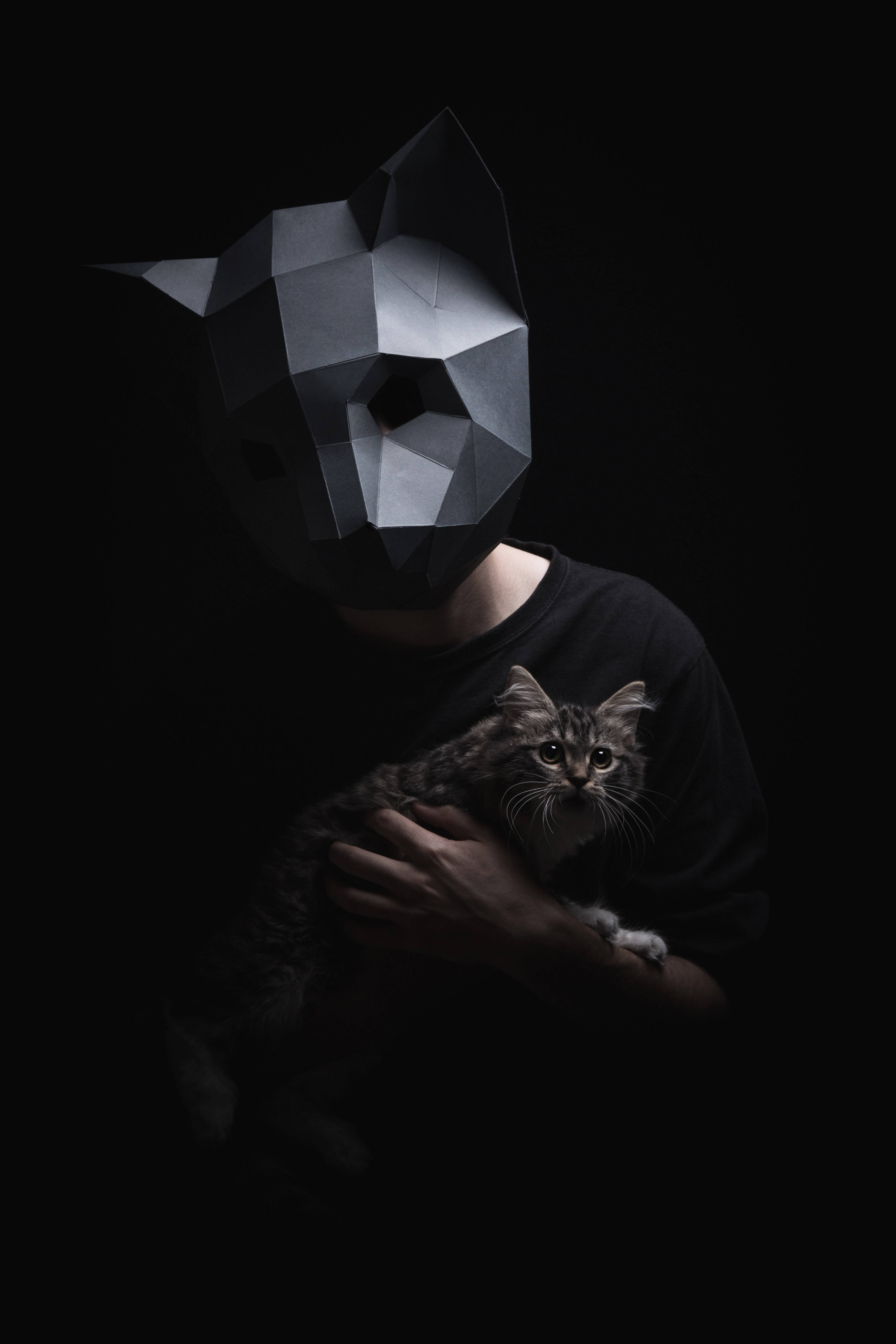 หน้ากากแมว low-poly 3 มิติที่สนุกและไม่เหมือนใคร วอลเปเปอร์