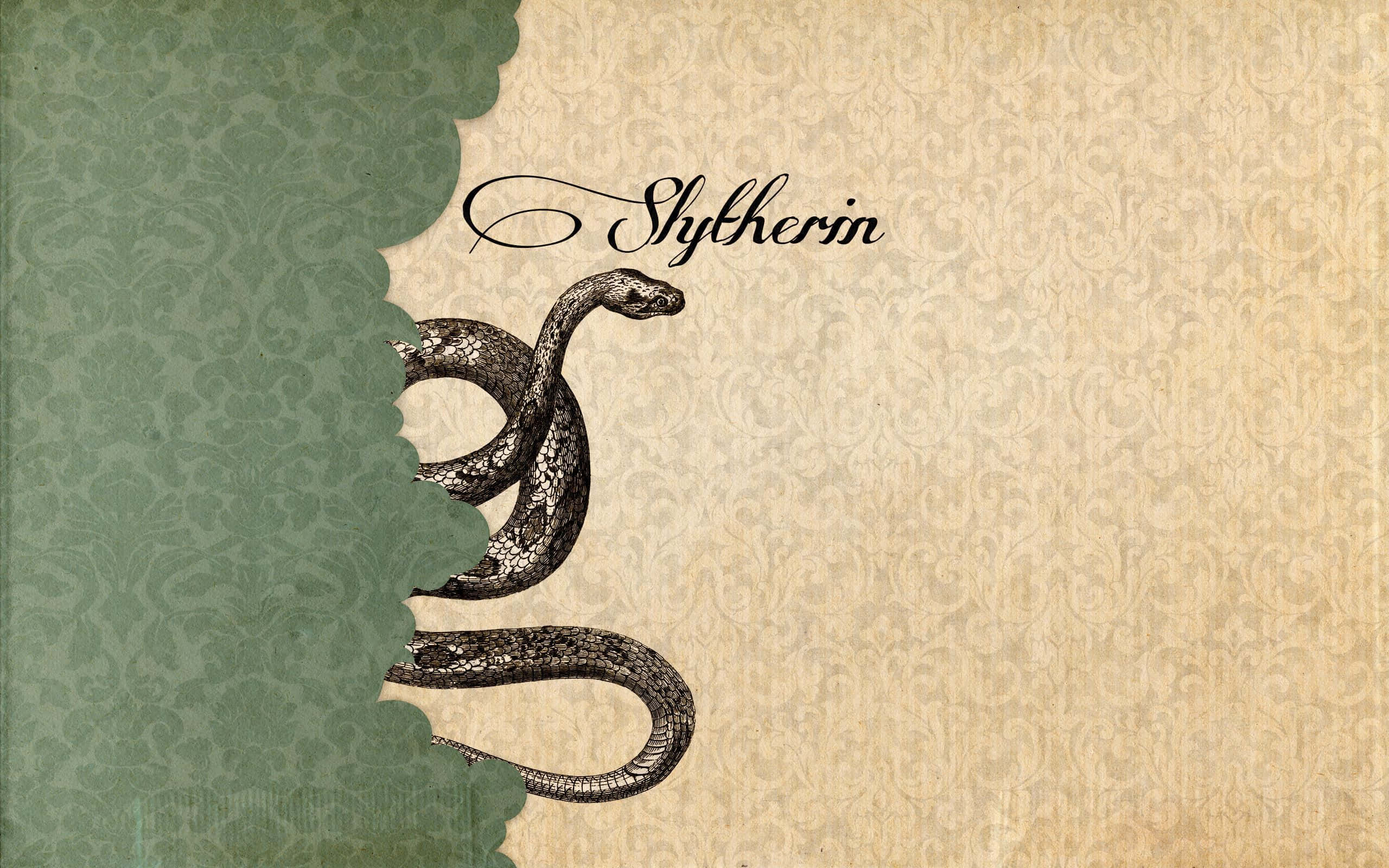 ค้นพบเสน่ห์ลึกลับของสlytherin Aesthetic 🐍 วอลเปเปอร์