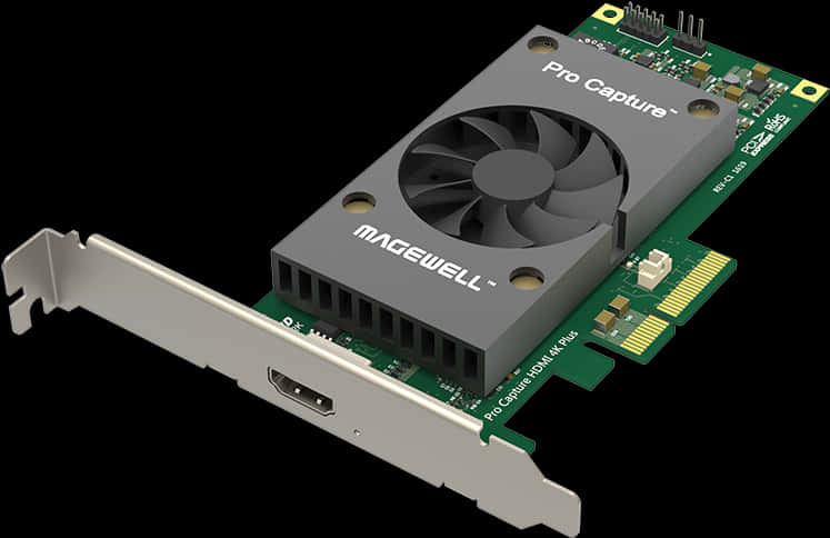 การ์ดจับภาพ Magewell Pro วอลเปเปอร์