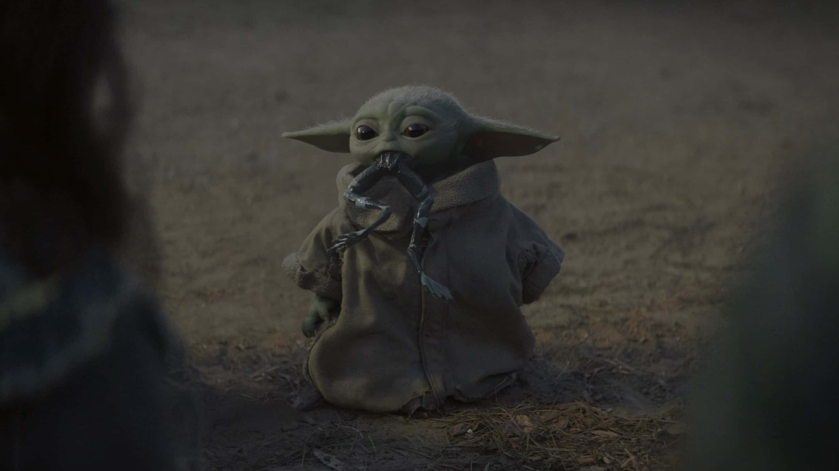 Mandalorian Yoda กัดขากบ วอลเปเปอร์