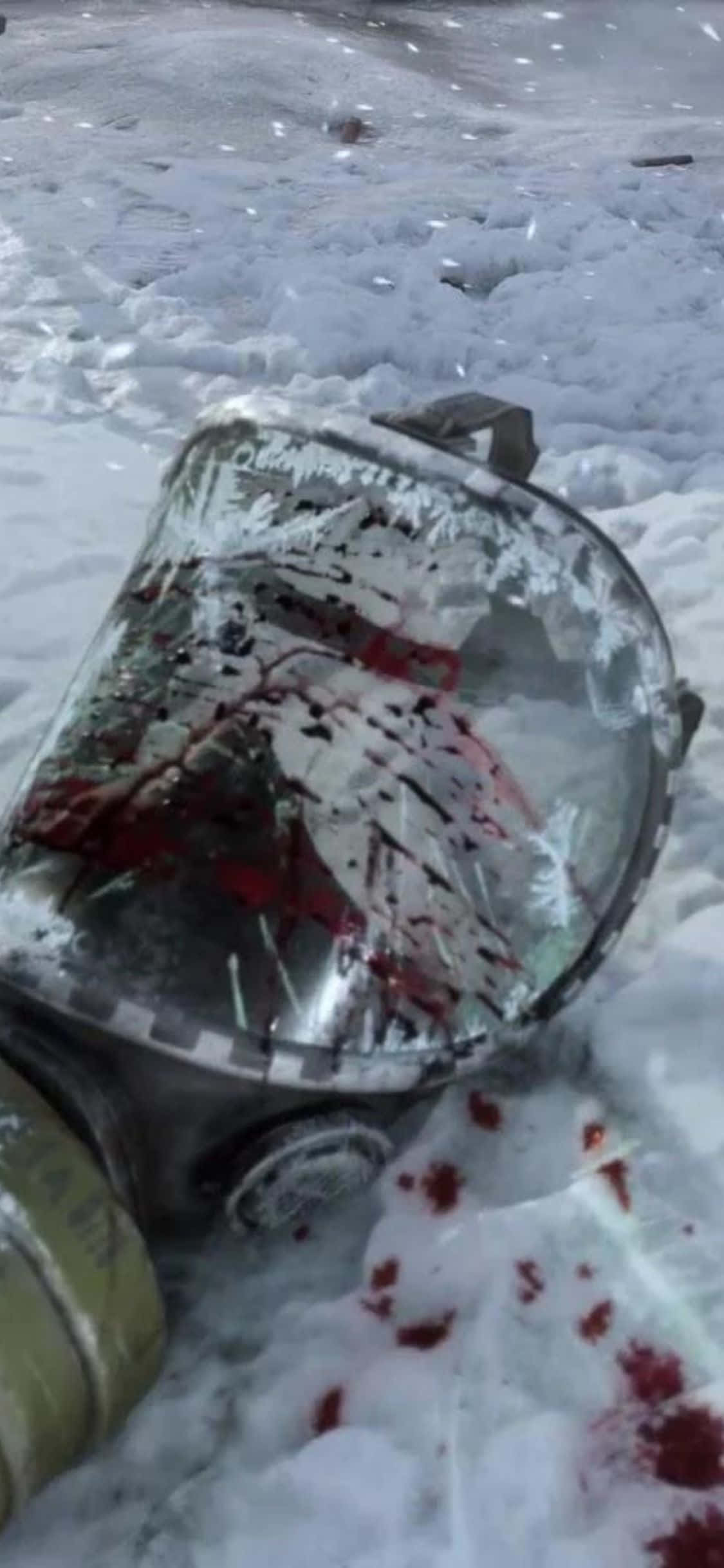 ทิวทัศน์หลังวันสิ้นโลกอันเขียวชอุ่มของ Metro Exodus วอลเปเปอร์