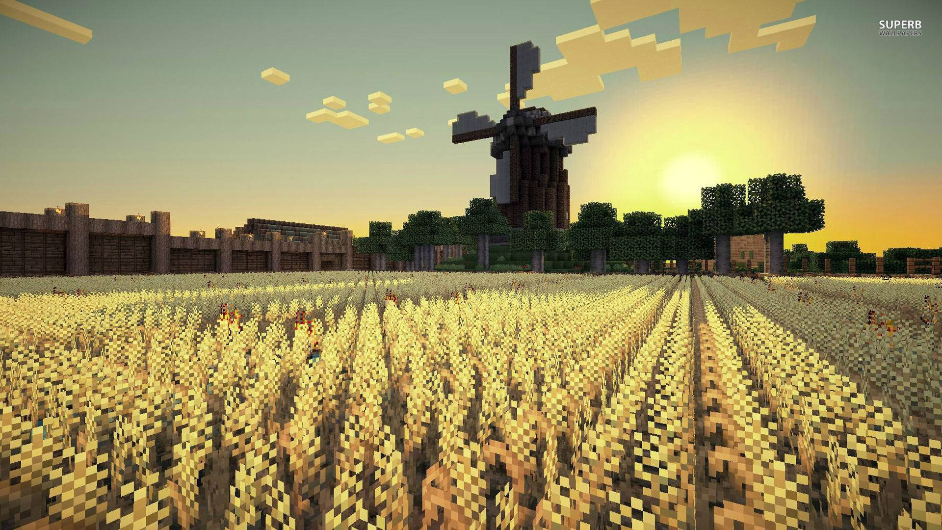 เพลิดเพลินกับยามเช้าอันเงียบสงบในนาข้าว Minecraft วอลเปเปอร์