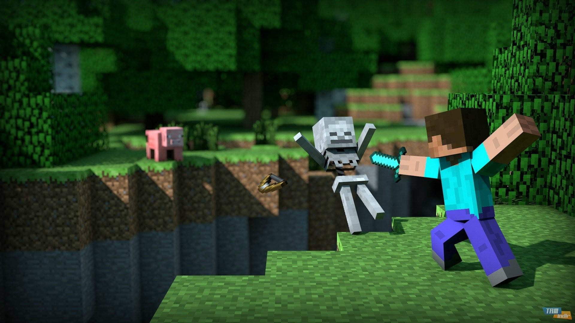 สตีฟต่อสู้กับโครงกระดูก Minecraft HD วอลเปเปอร์