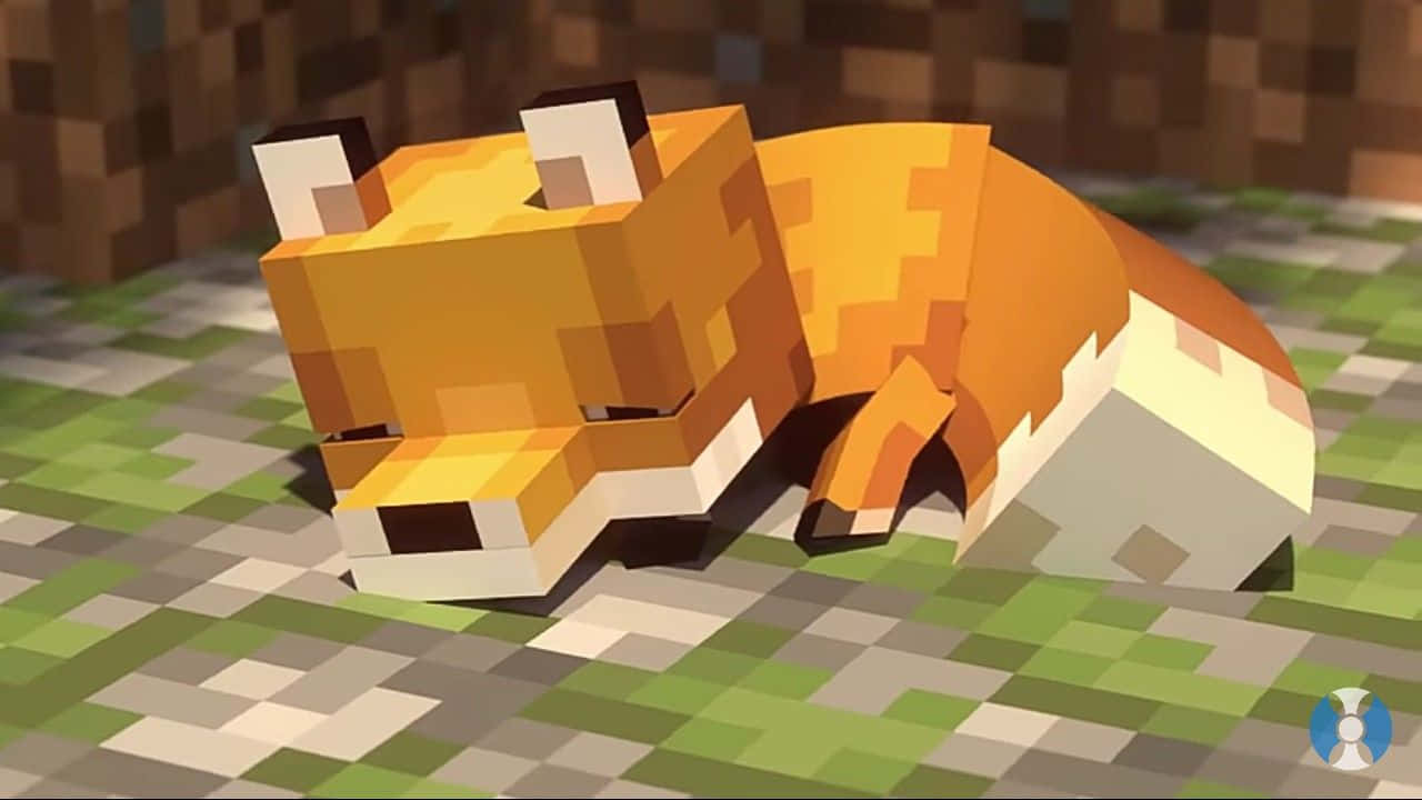 เจ้าเหมียว Minecraft หลับน่ารัก วอลเปเปอร์