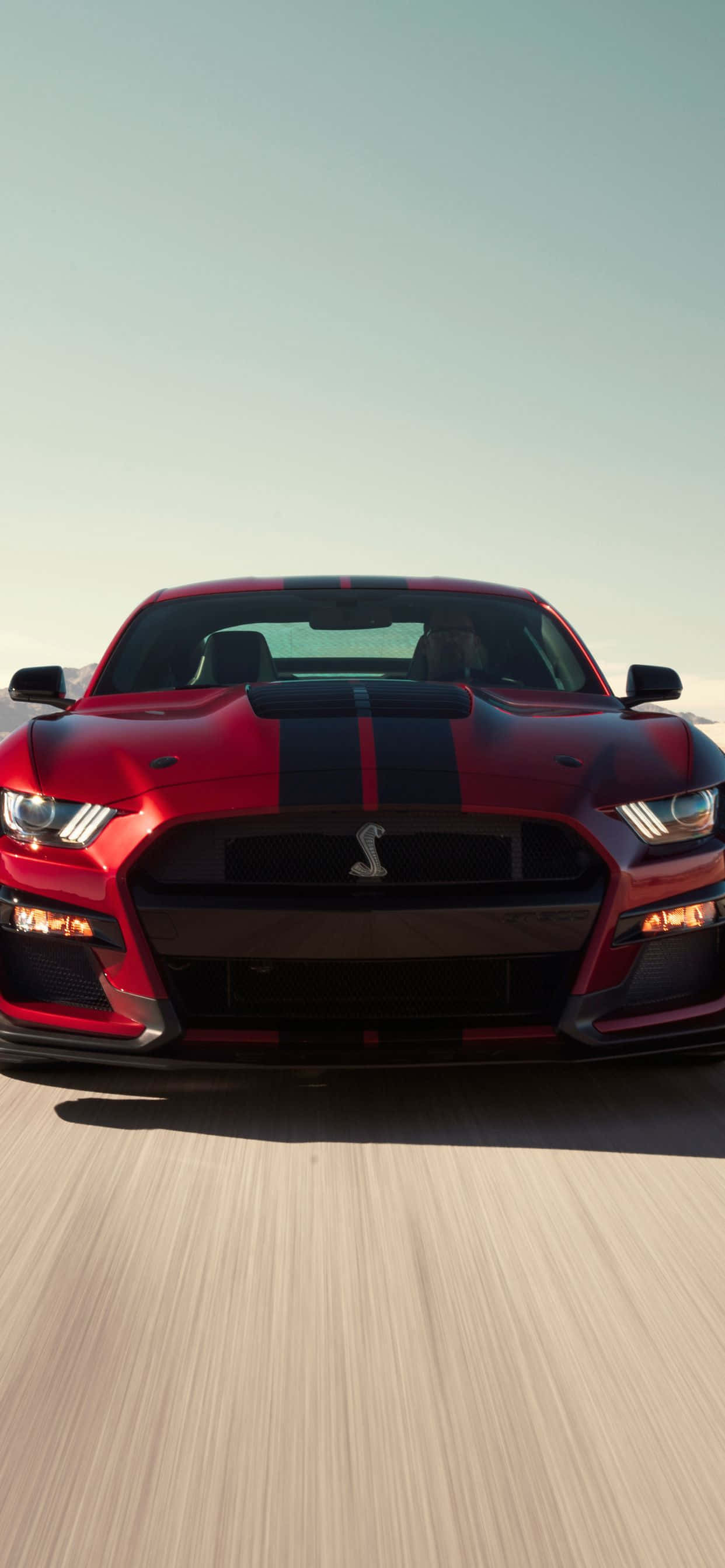 Mustang iPhone สุดโฉม เหมาะสำหรับแฟนพันธุ์แท้ทุกคน วอลเปเปอร์