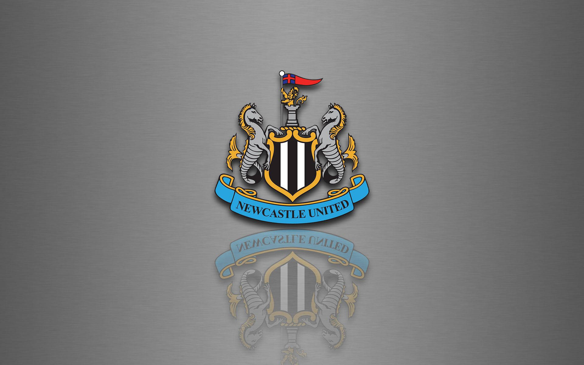 ฝูงชนที่ส่งเสียงเชียร์เฝ้าดูขณะที่ Newcastle United F.C. ลงสนาม! วอลเปเปอร์