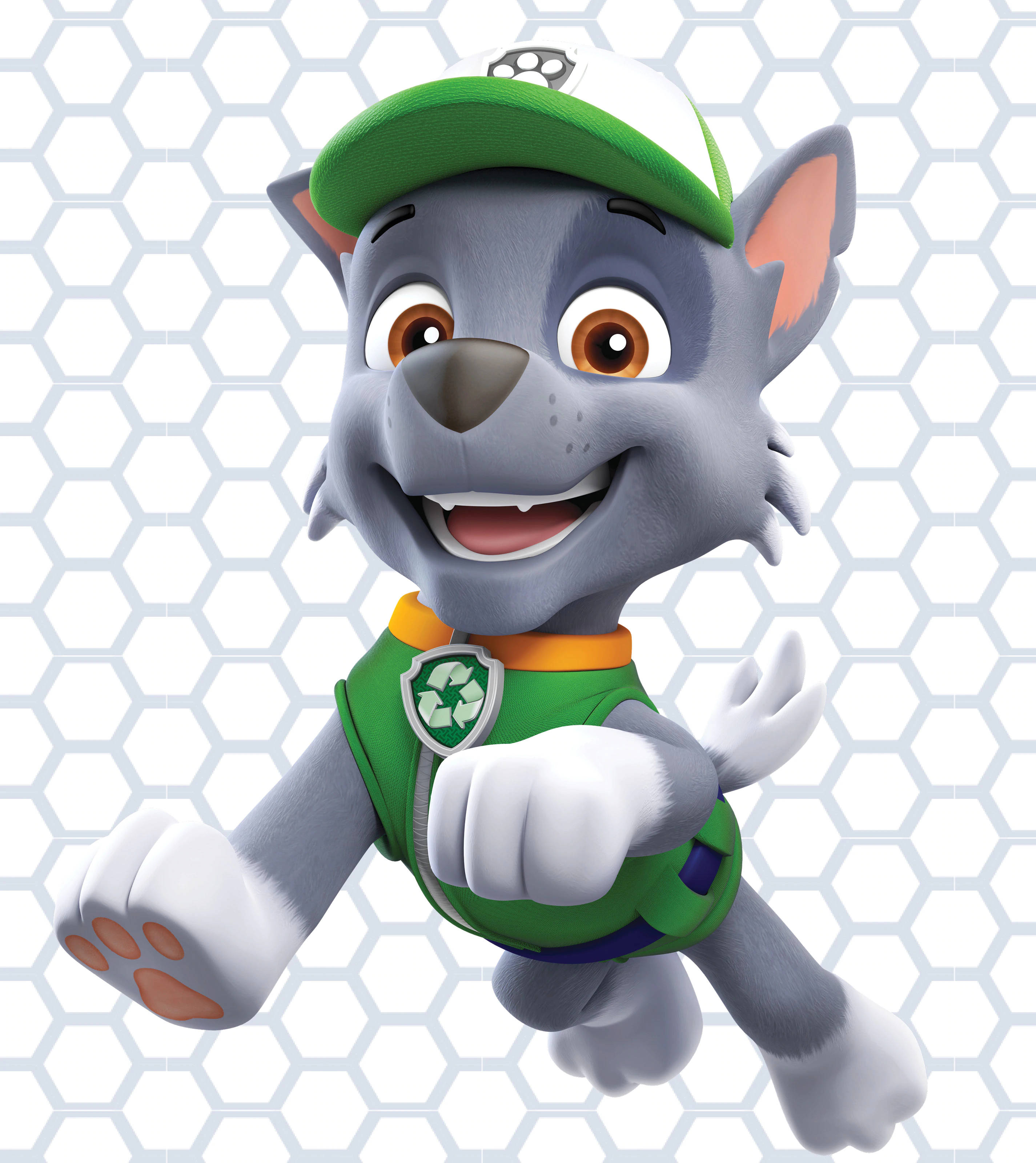 Paw Patrol ร็อคกี้ วอลเปเปอร์