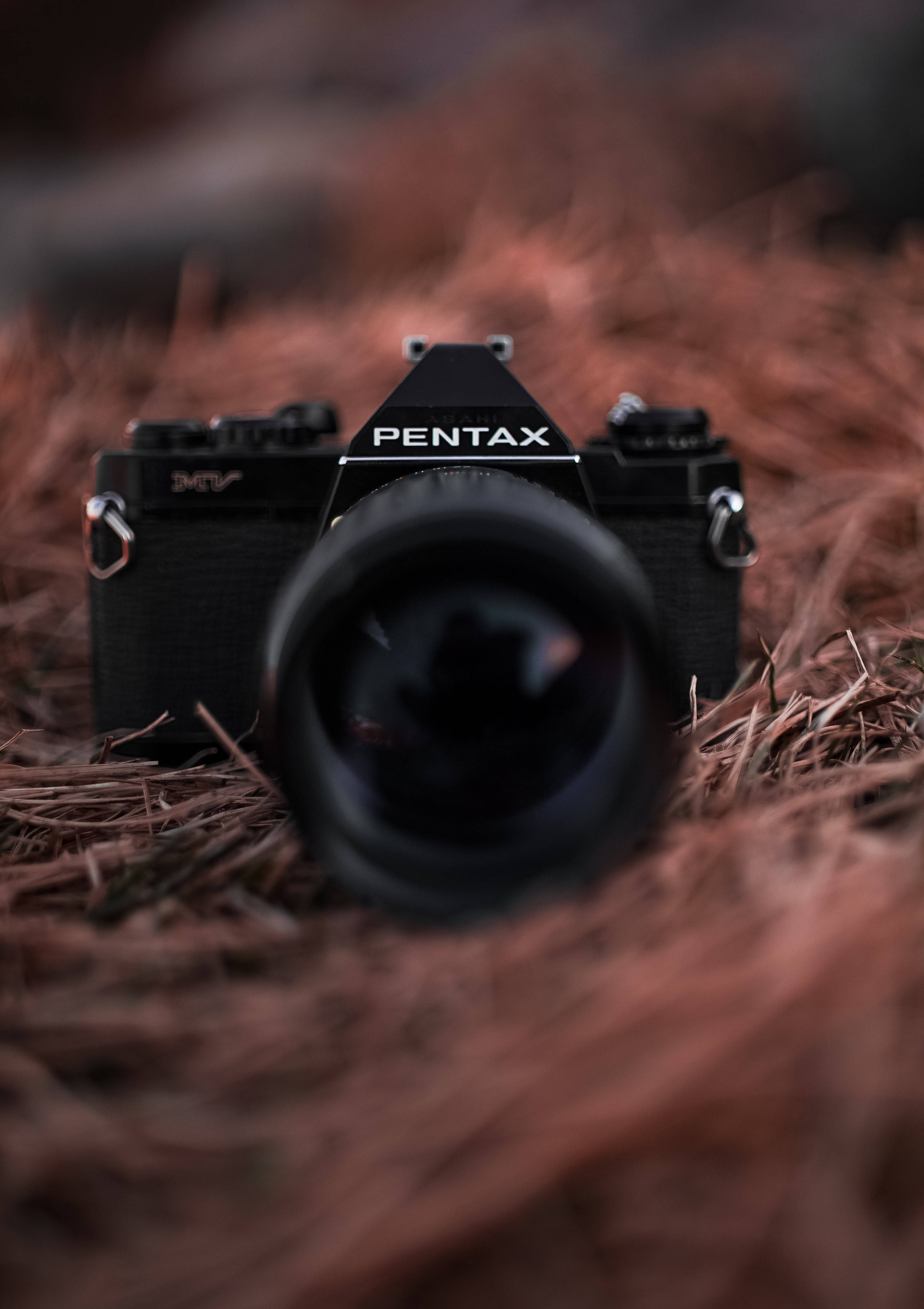 บันทึกความงามของชีวิตด้วยกล้อง Pentax วอลเปเปอร์