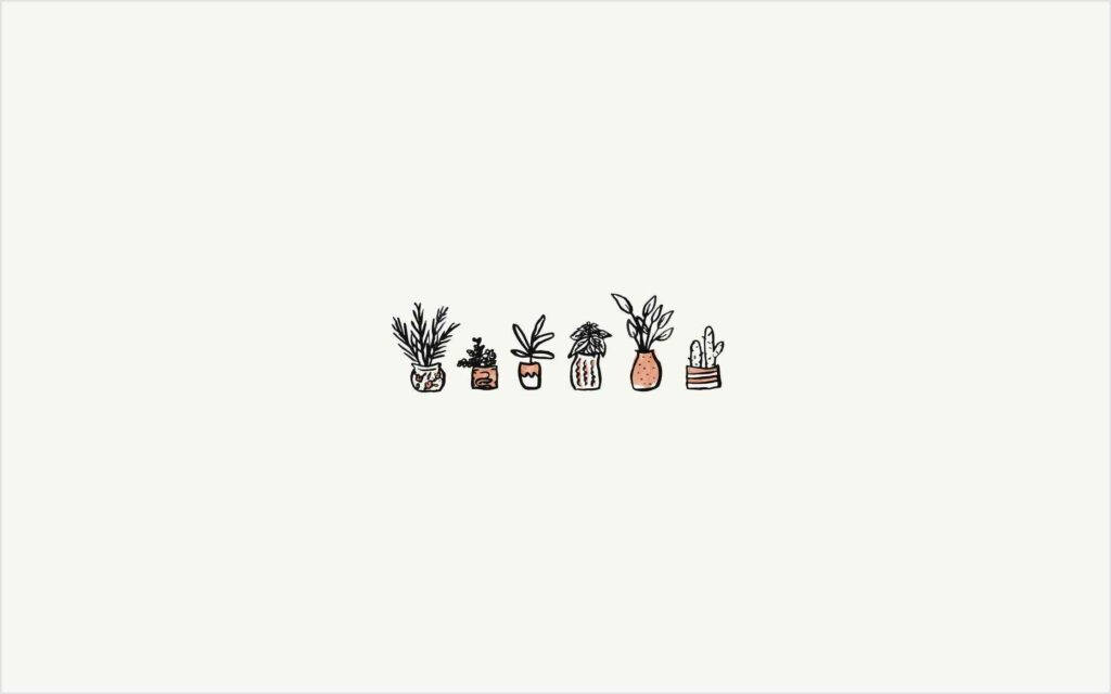 ภาพกราฟิกต้นไม้ในกระถางจาก Pinterest สำหรับแล็ปท็อป วอลเปเปอร์