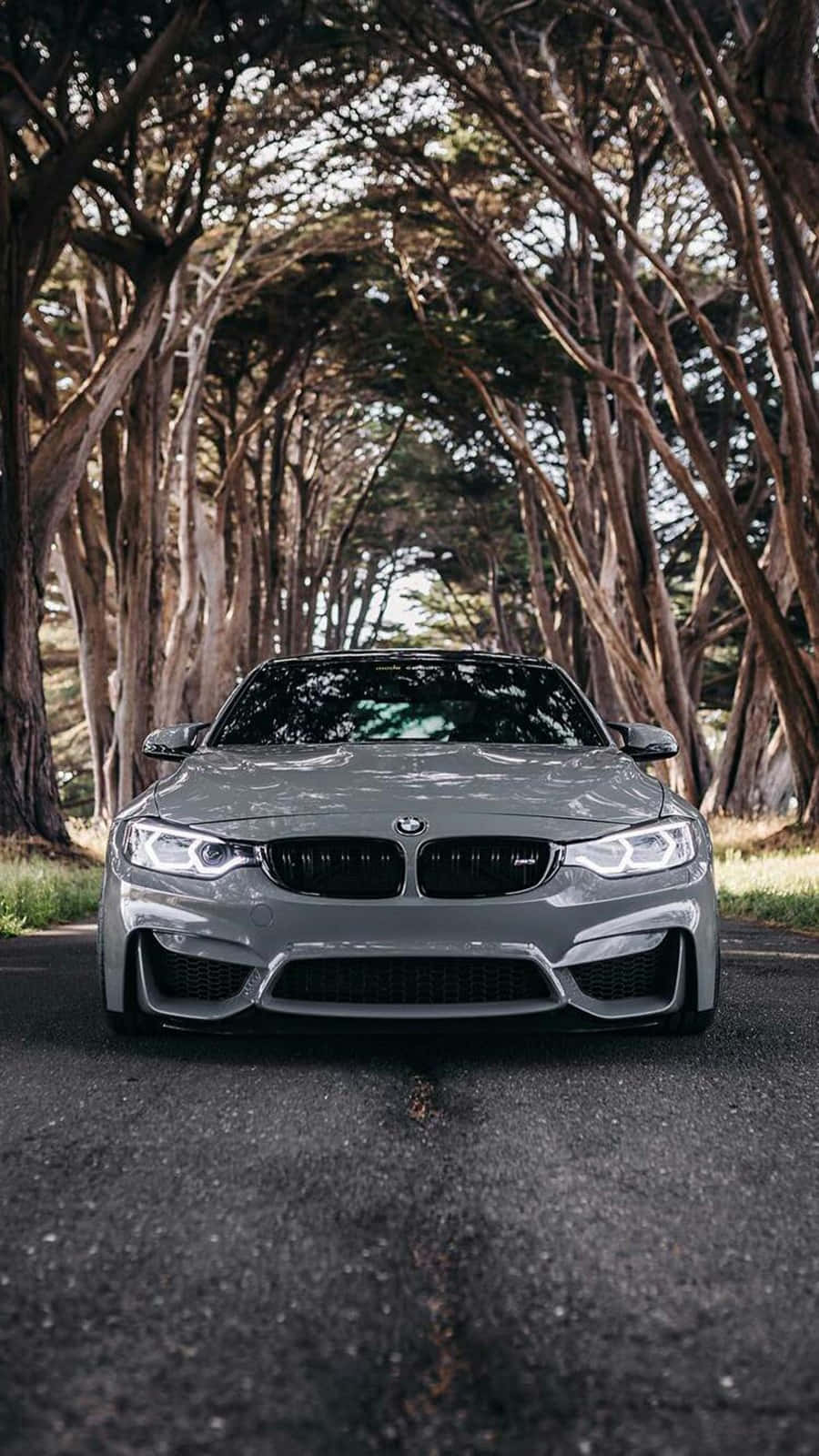 พื้นหลัง Pixel 3 BMW M4 สี Silverstone Metallic II วอลเปเปอร์
