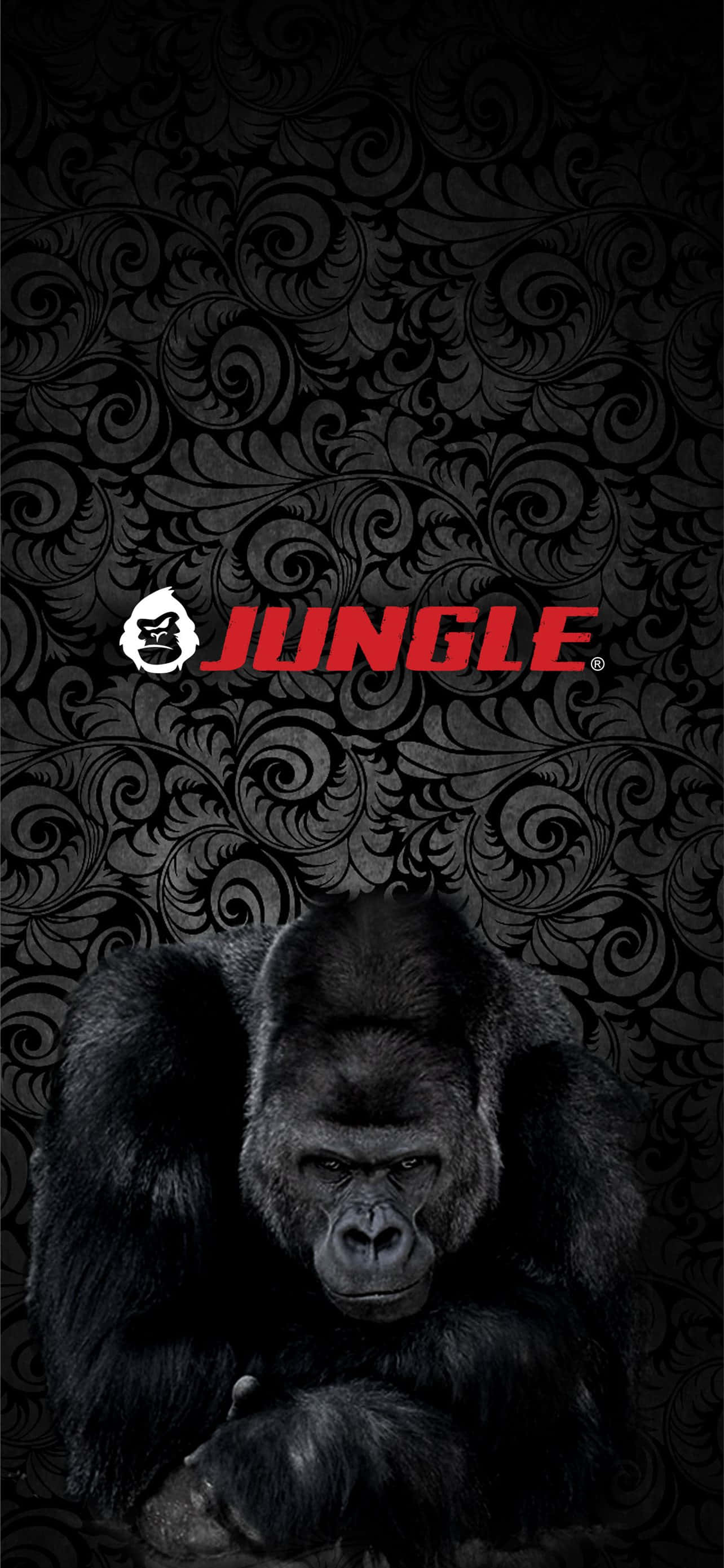 พื้นหลังสโลแกน Pixel 3 Gorilla Jungle วอลเปเปอร์