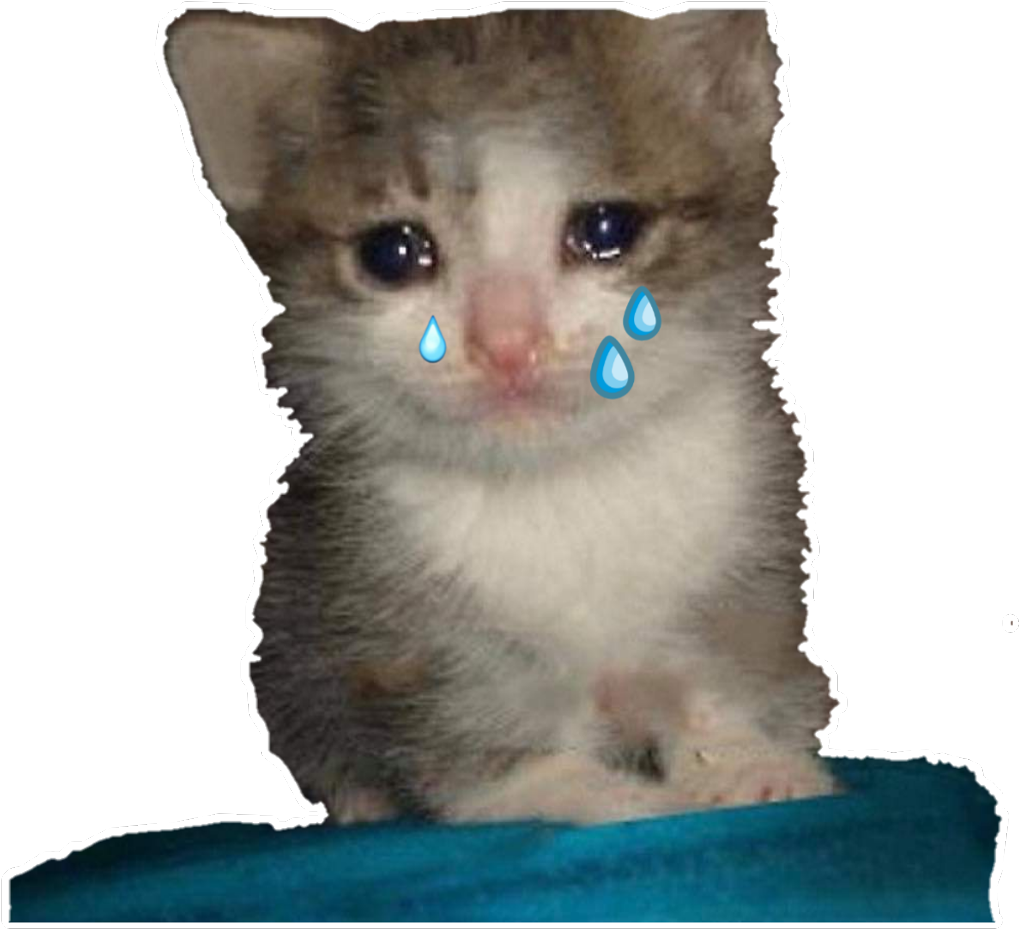 แมวน้อยร้องไห้ มีม.PNG วอลเปเปอร์