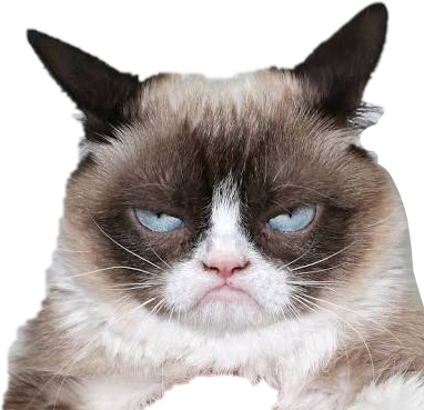 แมวหน้านิ่ง.PNG วอลเปเปอร์