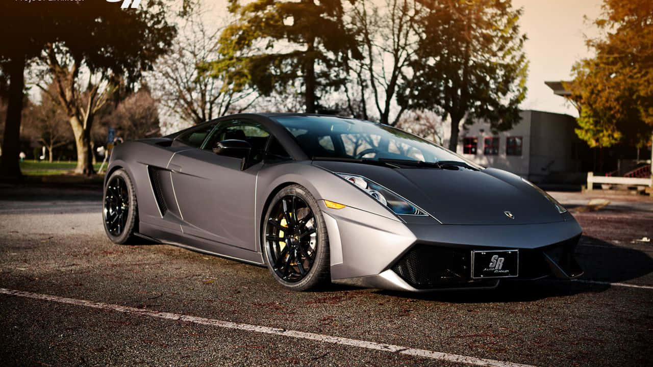 ภาพมุมสูงของเกมแข่งรถความเร็วสูง Project Cars วอลเปเปอร์