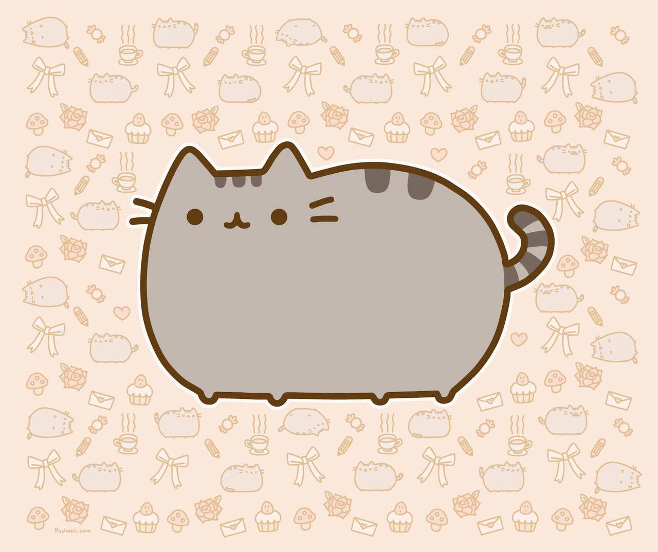 แมว Pusheen น่ารักบนไอแพด วอลเปเปอร์