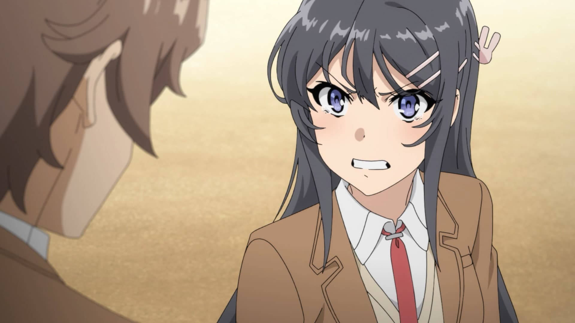 Rascal Does Not Dream Of Bunny Girl Senpai โกรธเมย์ วอลเปเปอร์