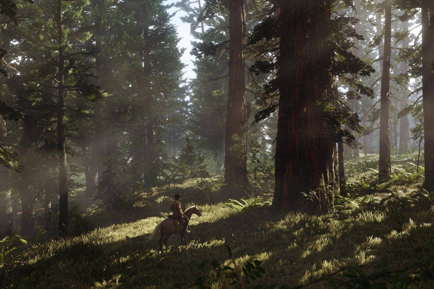 Red Dead Redemption 2 ป่า 4K วอลเปเปอร์