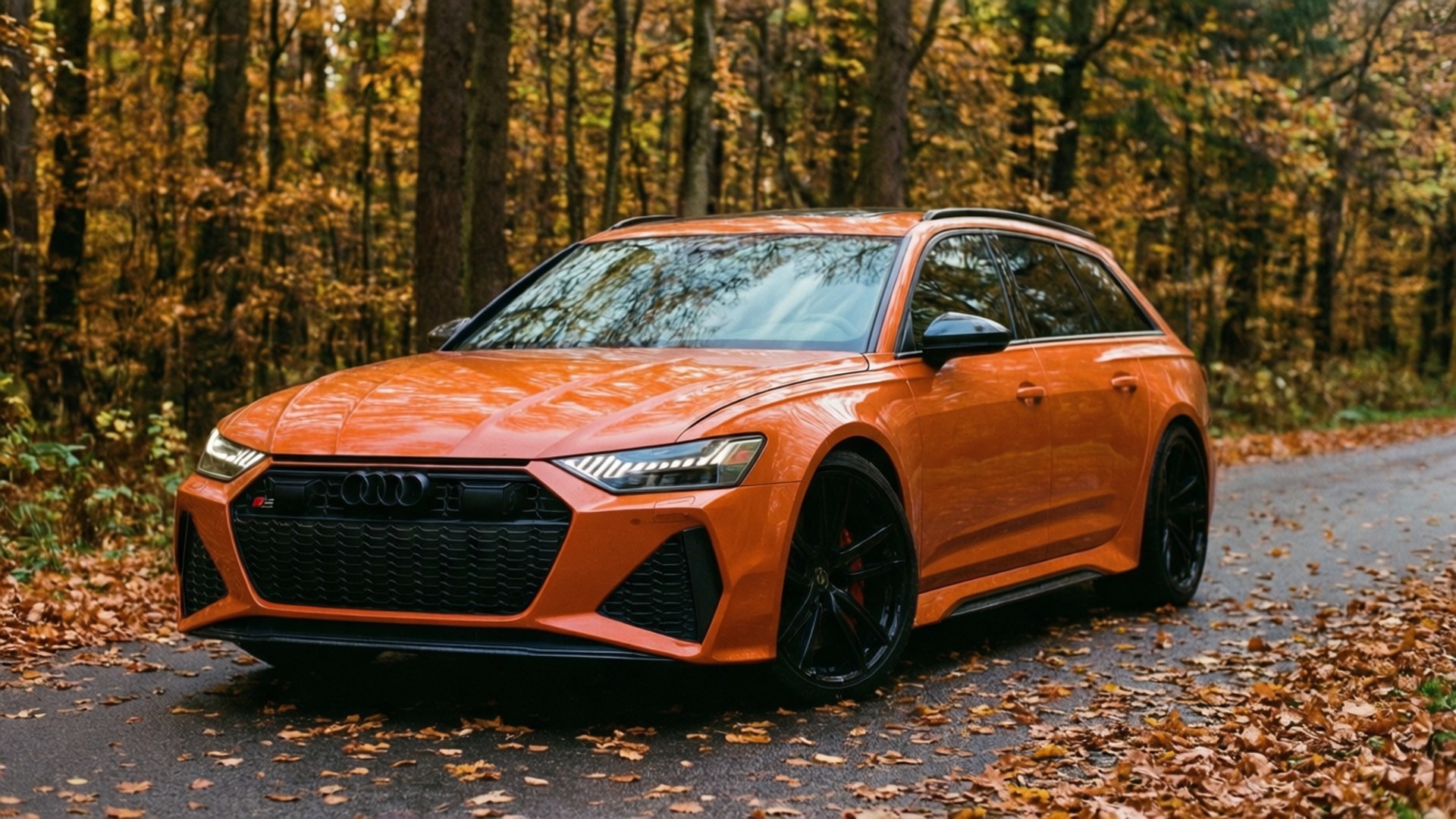 รถ Audi RS6 Avant สีส้มบนถนนในป่าฤดูใบไม้ร่วงที่มีใบไม้ร่วงหล่น — รถเท่ๆ GIF วอลเปเปอร์