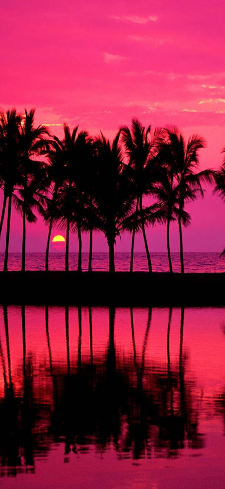 วอลเปเปอร์ชายหาดยามพระอาทิตย์ตกสำหรับ Samsung Galaxy S22 — ซัมซุง กาแลคซี่ S22 GIF วอลเปเปอร์
