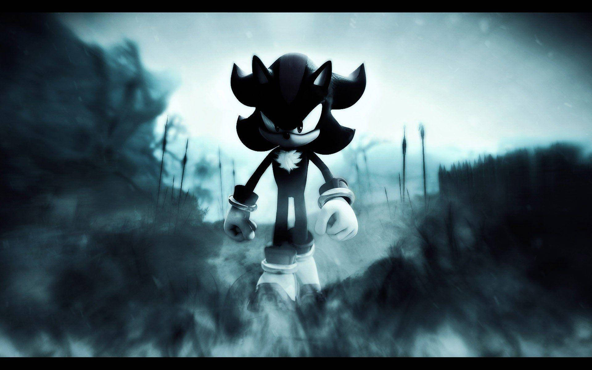 ภาพโปรไฟล์เงาดำขาว Sega Shadow the Hedgehog วอลเปเปอร์