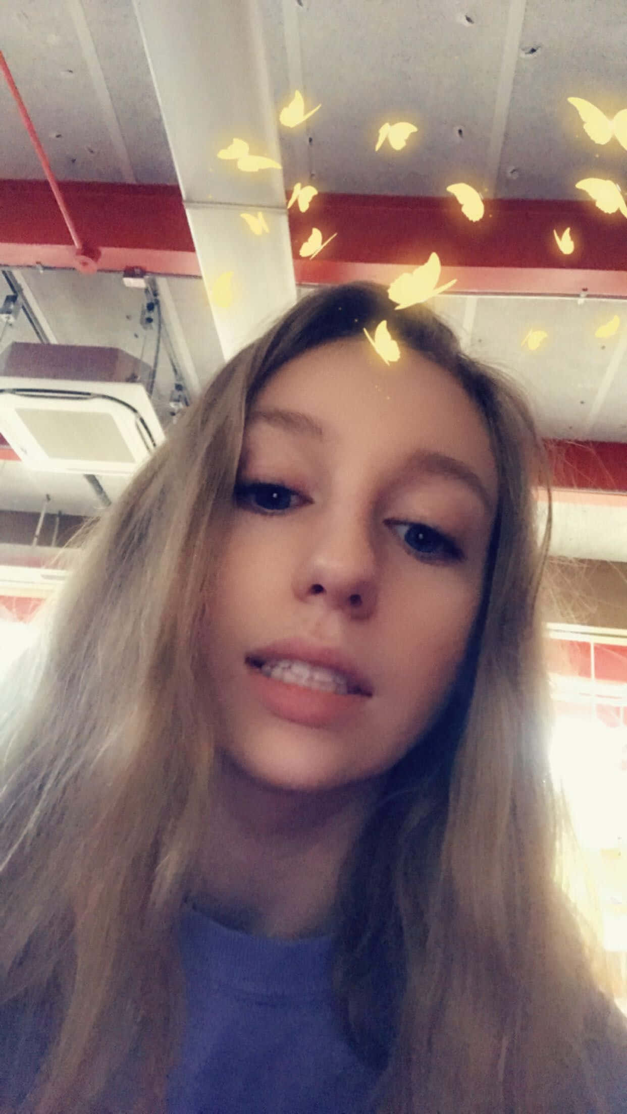 รูปผีเสื้อสีเหลืองจาก Snapchat วอลเปเปอร์