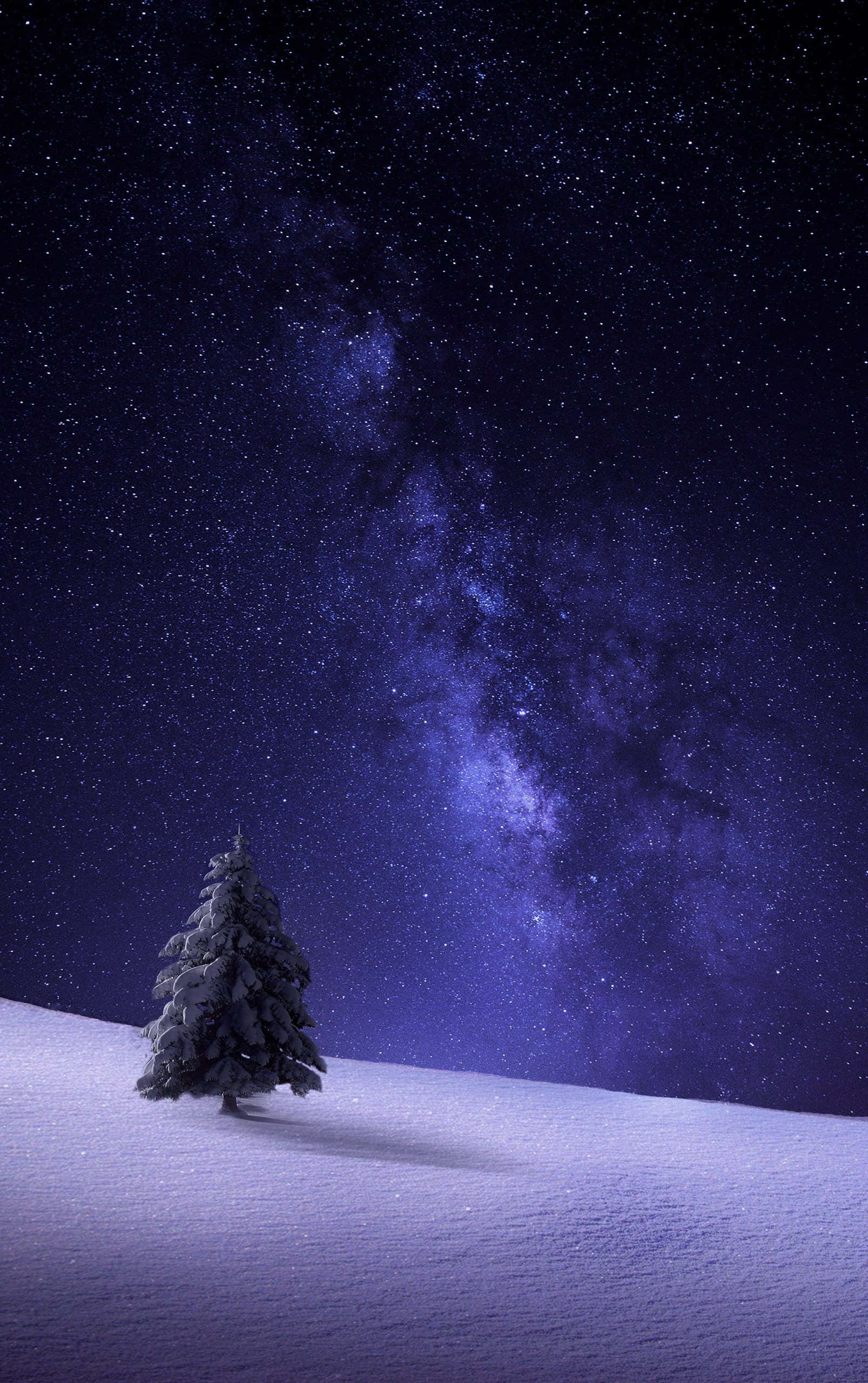 สัมผัสความหนาวของฤดูหนาวกับ Snow iPhone วอลเปเปอร์